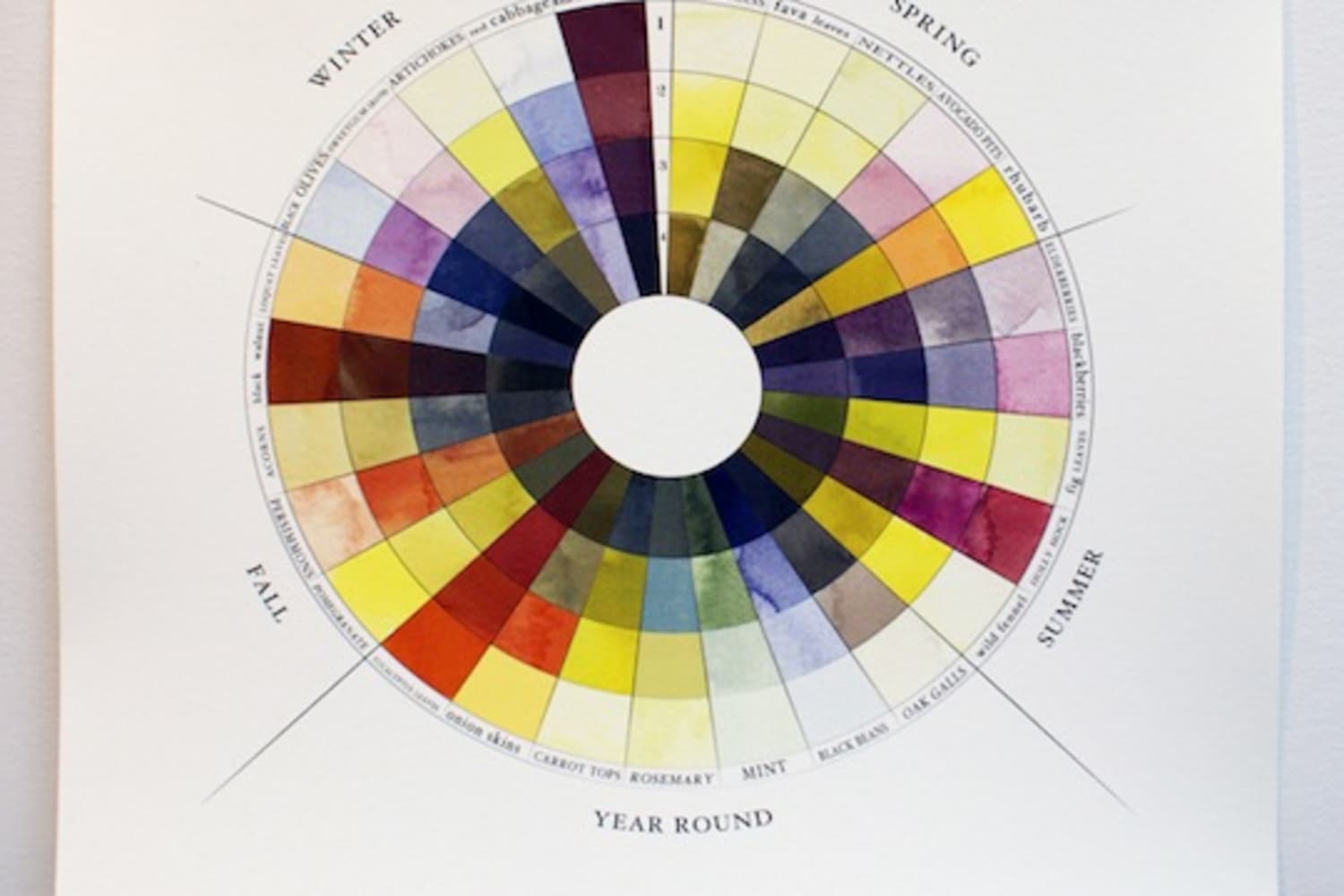 The Seasonal Color Wheel A Guide to Natural Dyes Made From Seasonal
