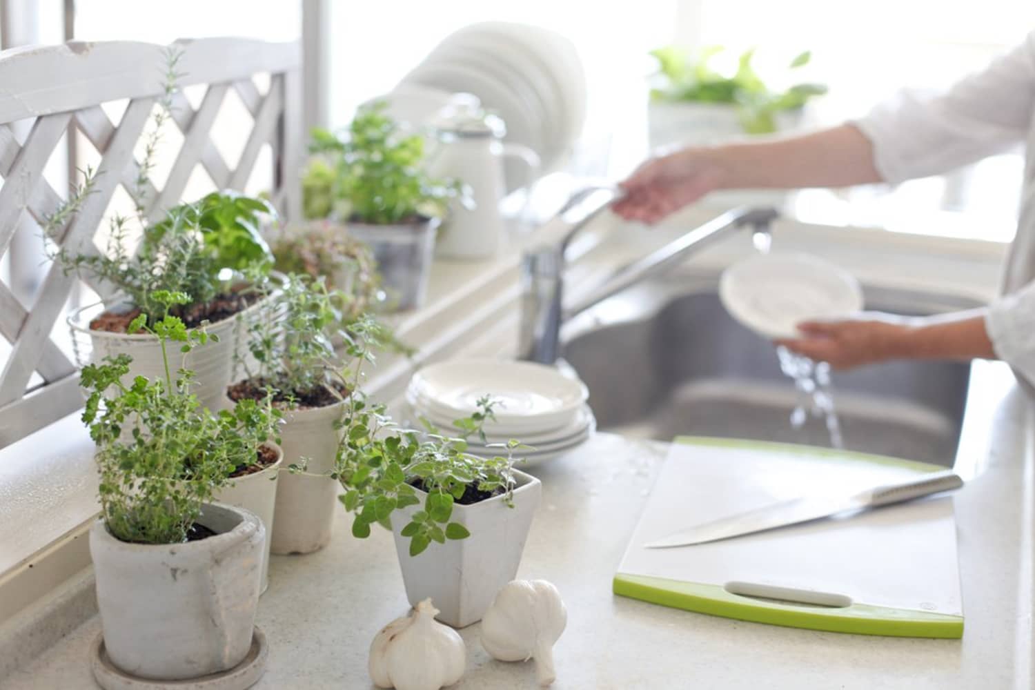 Ideas for Kitchen Windowsill Plants (Other Than Herbs)? | Kitchn