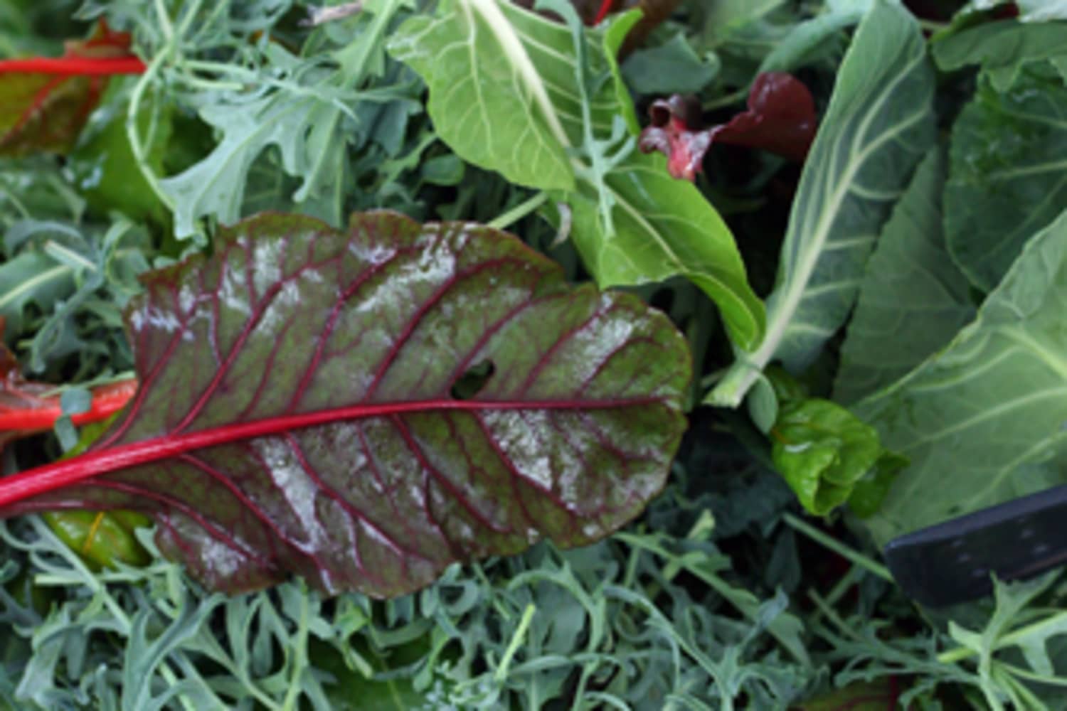 How Do I Incorporate Dark, Leafy Greens Into My Diet? The Kitchn