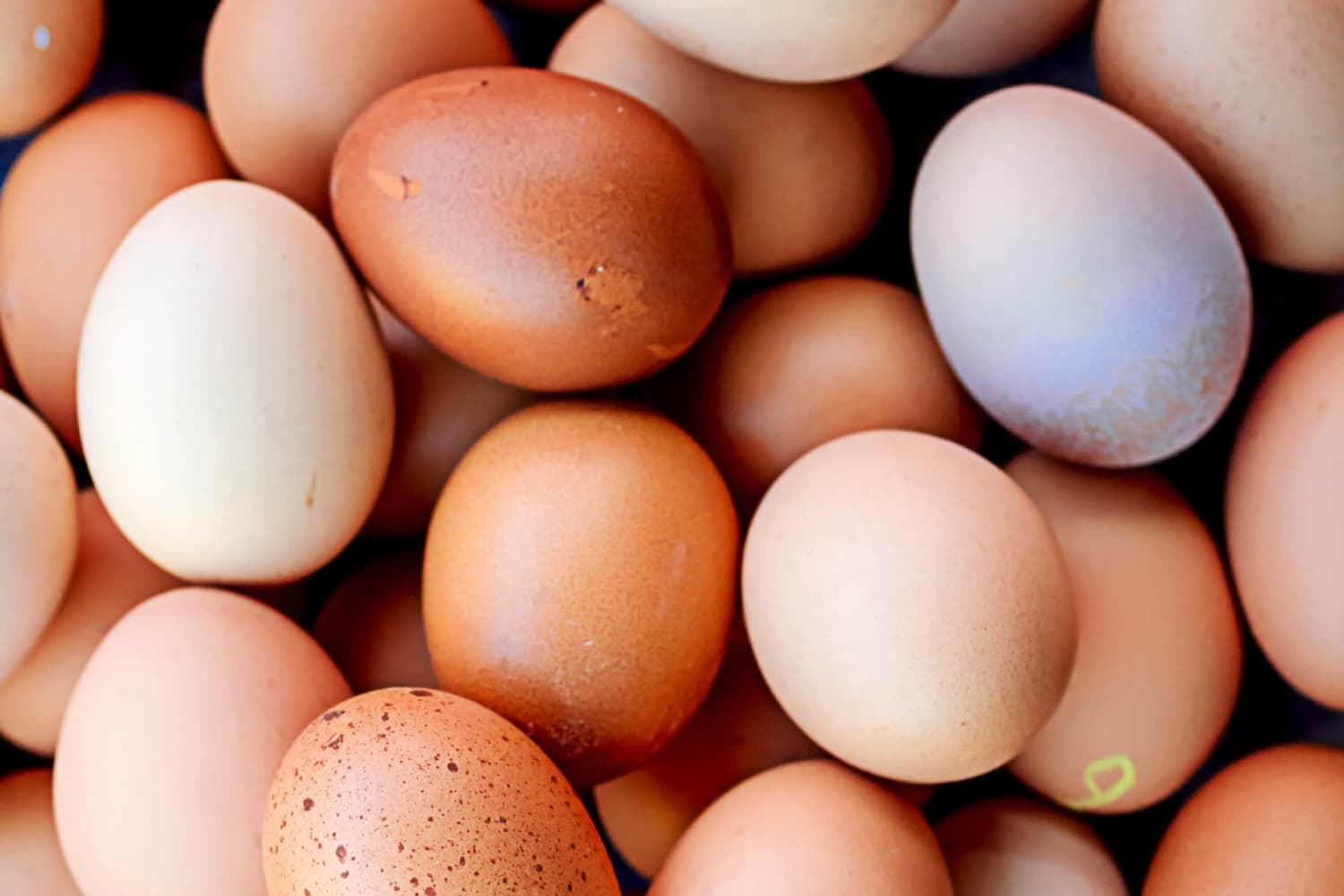 How long can you keep eggs the kitchn