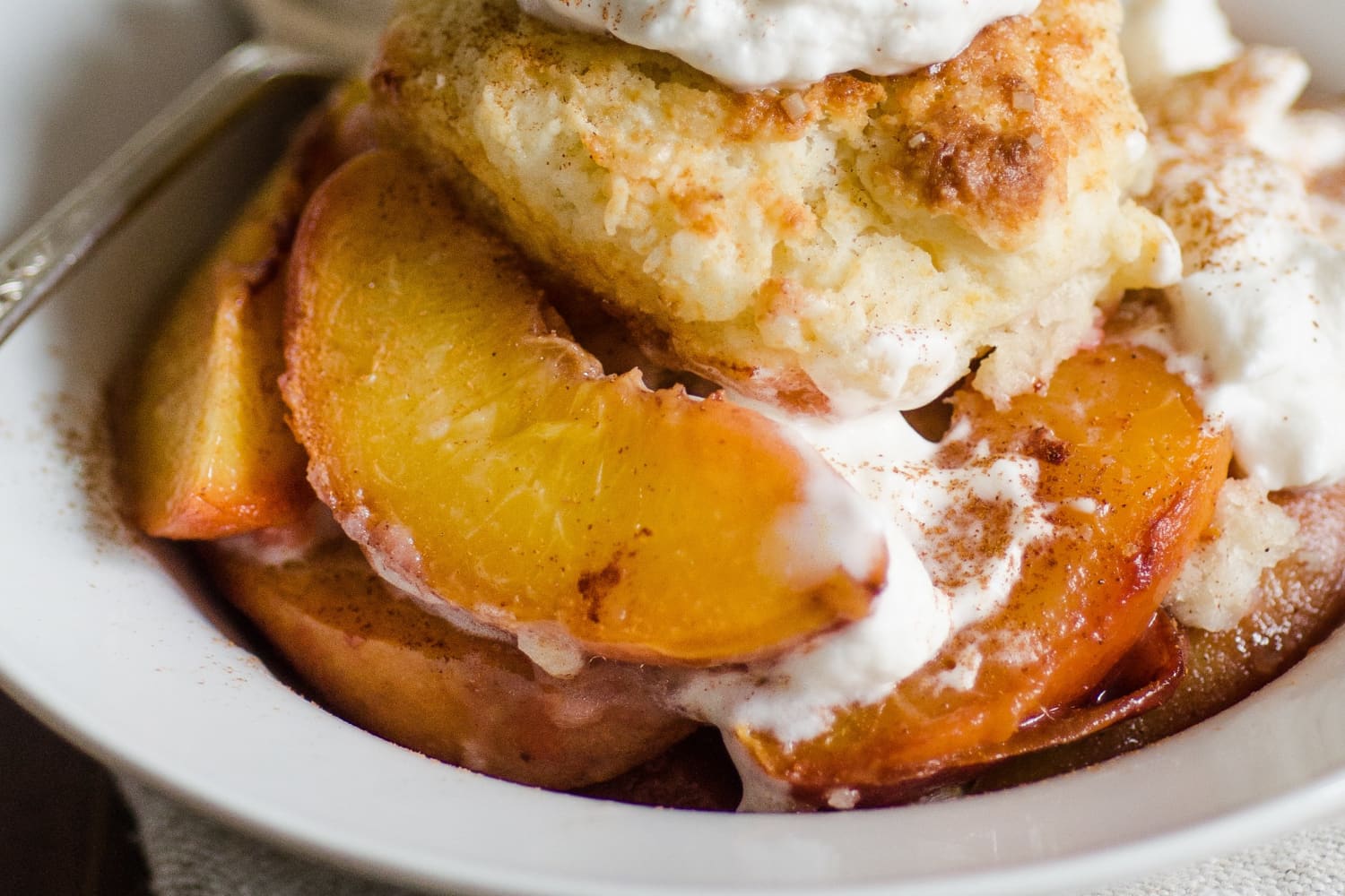 Recipe Sweet Biscuits with Roasted Peaches The Kitchn