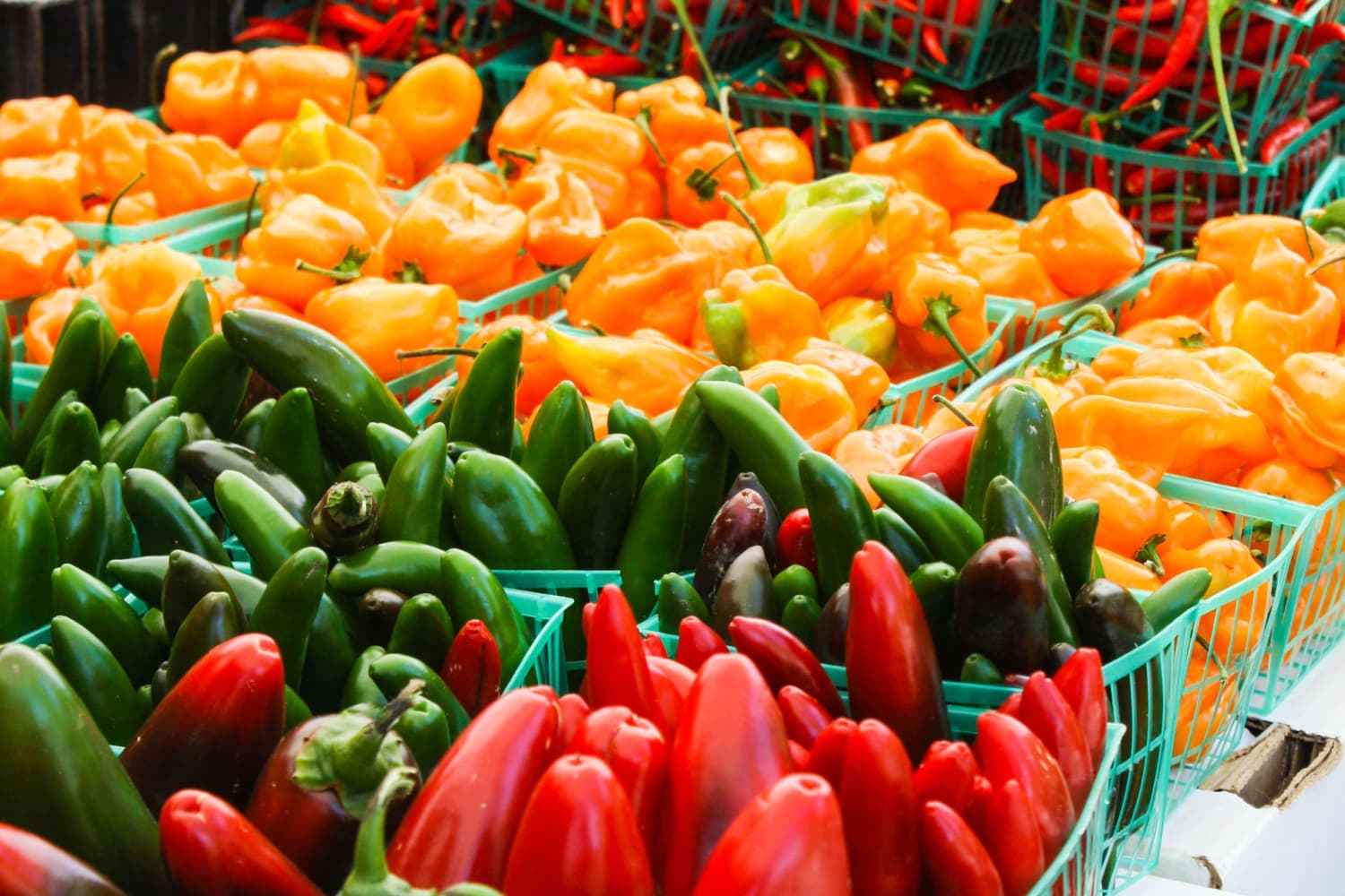 A Guide to Common Hot Peppers The Kitchn