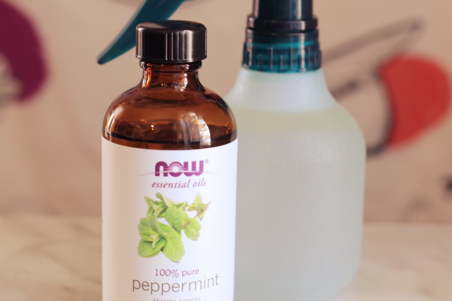 Peppermint Oil for Mice Does It Actually Work The Kitchn