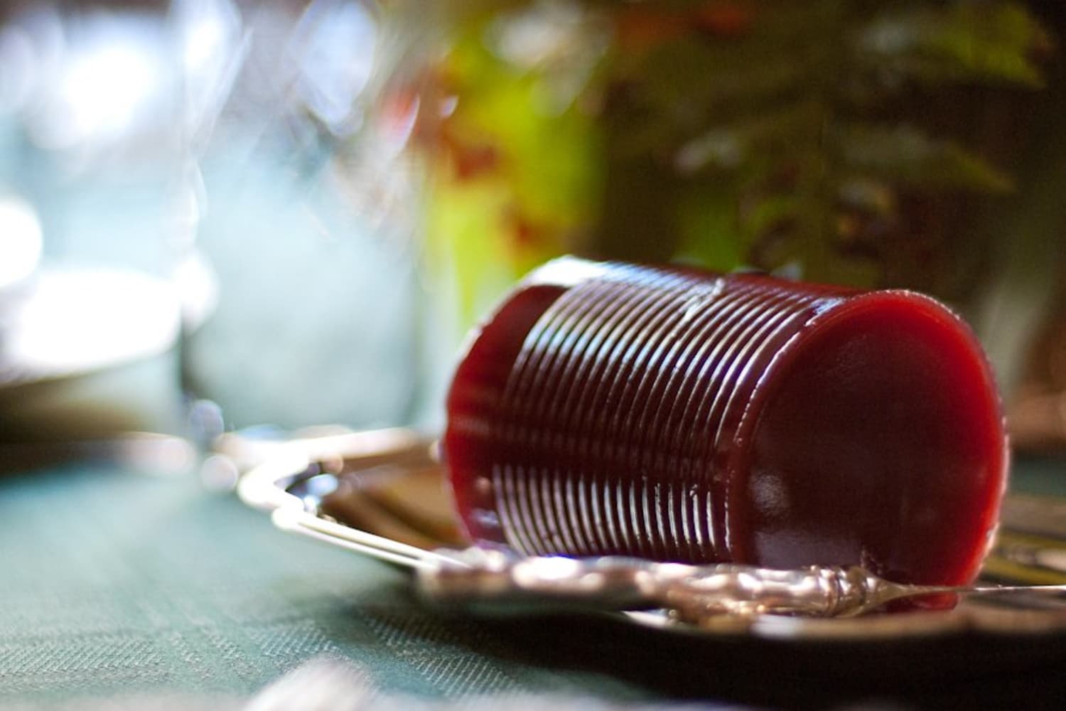How Canned Cranberry Jelly Became a Thanksgiving Icon The Kitchn