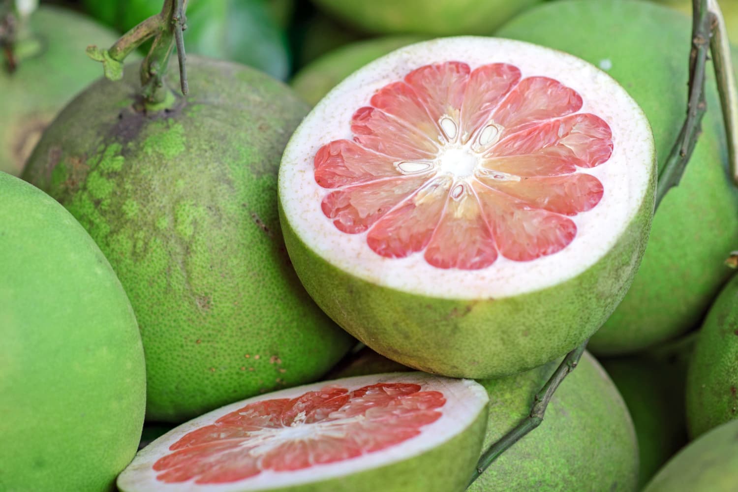 Why It’s Time To Try Pomelos The Kitchn