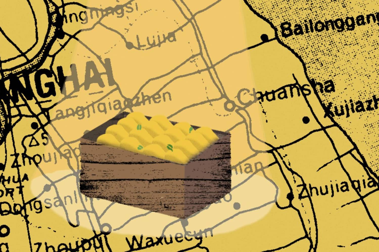 On the Meaning of Mangoes The Kitchn