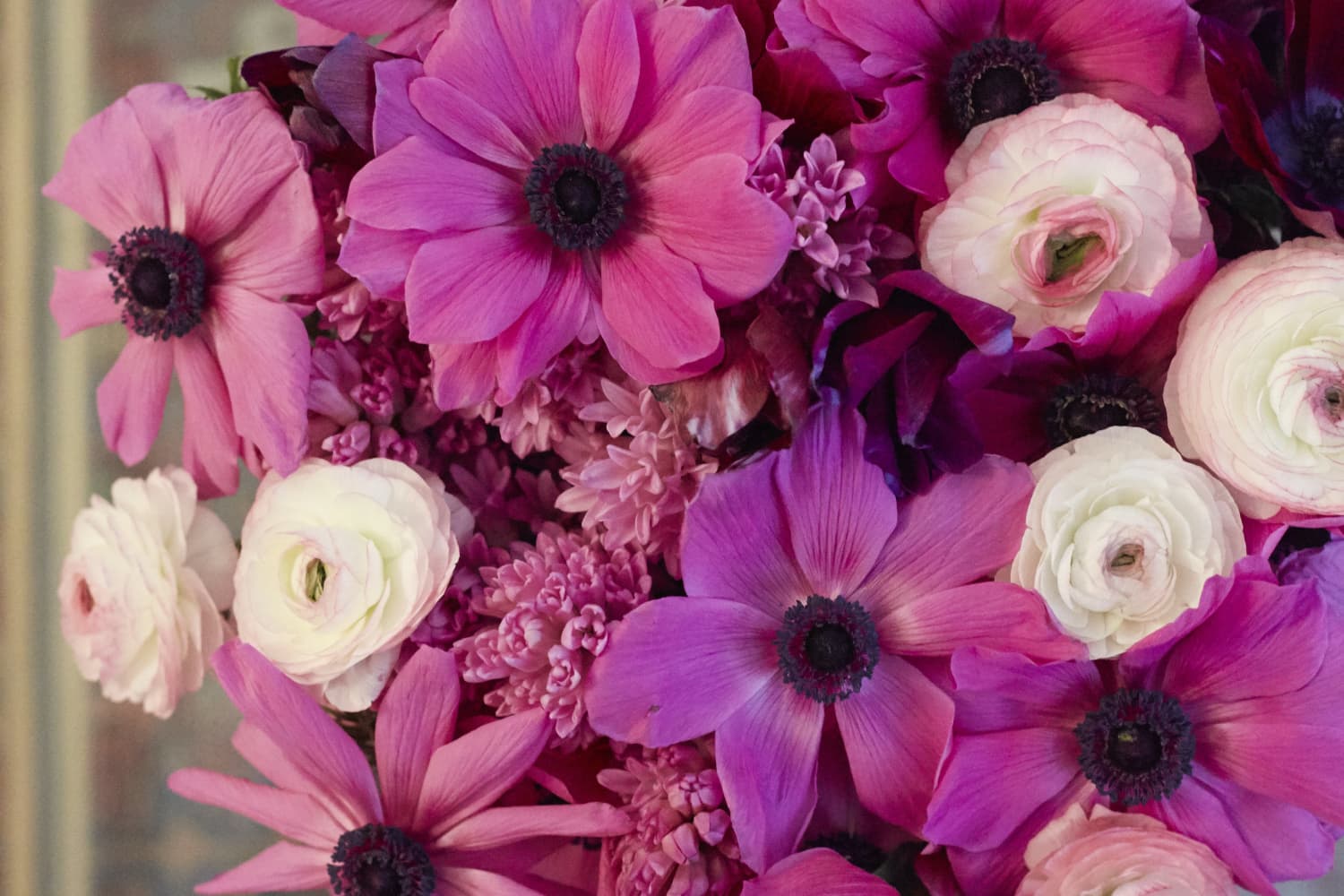 7 Flowers That Are Better than Roses The Kitchn