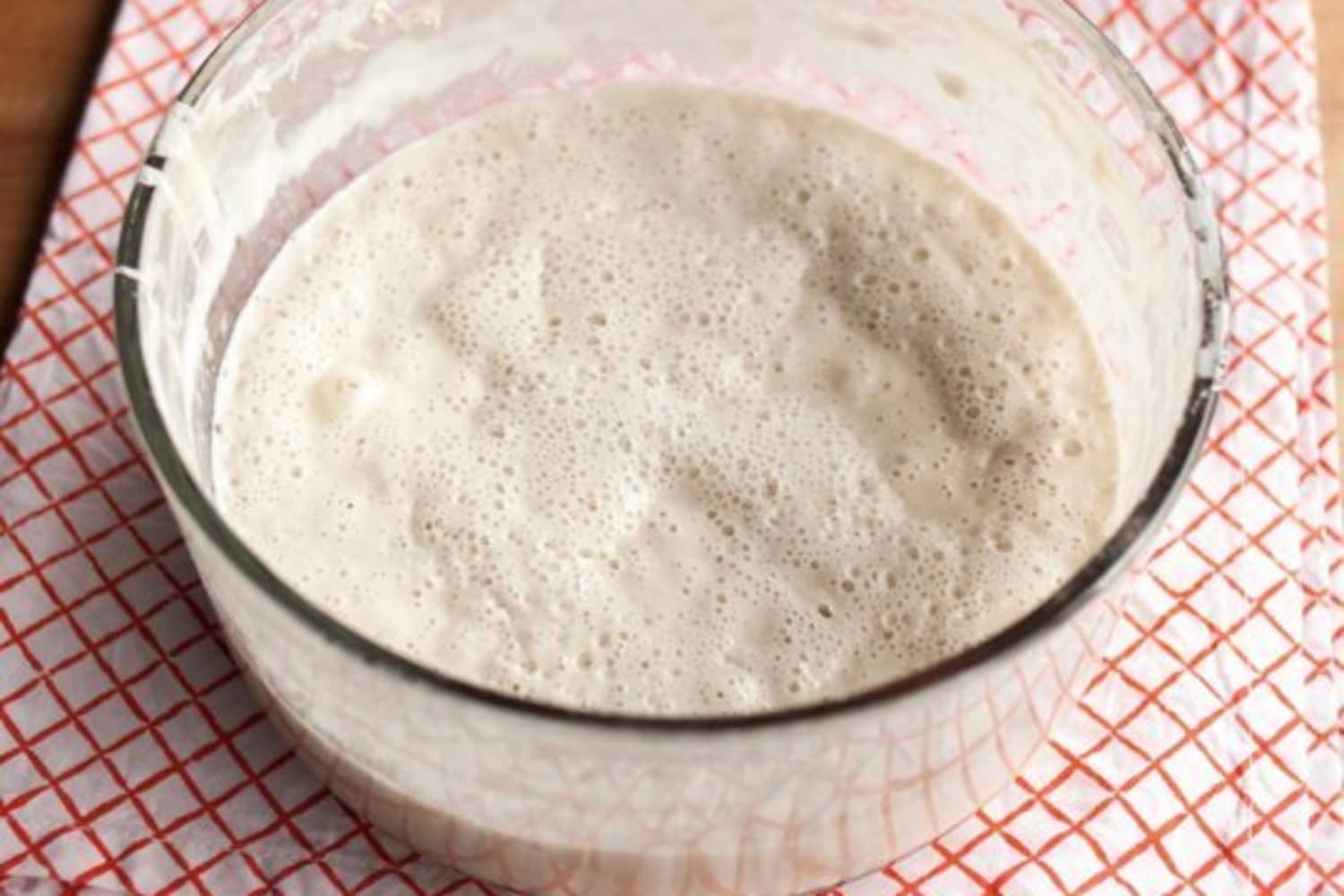 How Much Would You Pay a Professional to Babysit Your Sourdough Starter