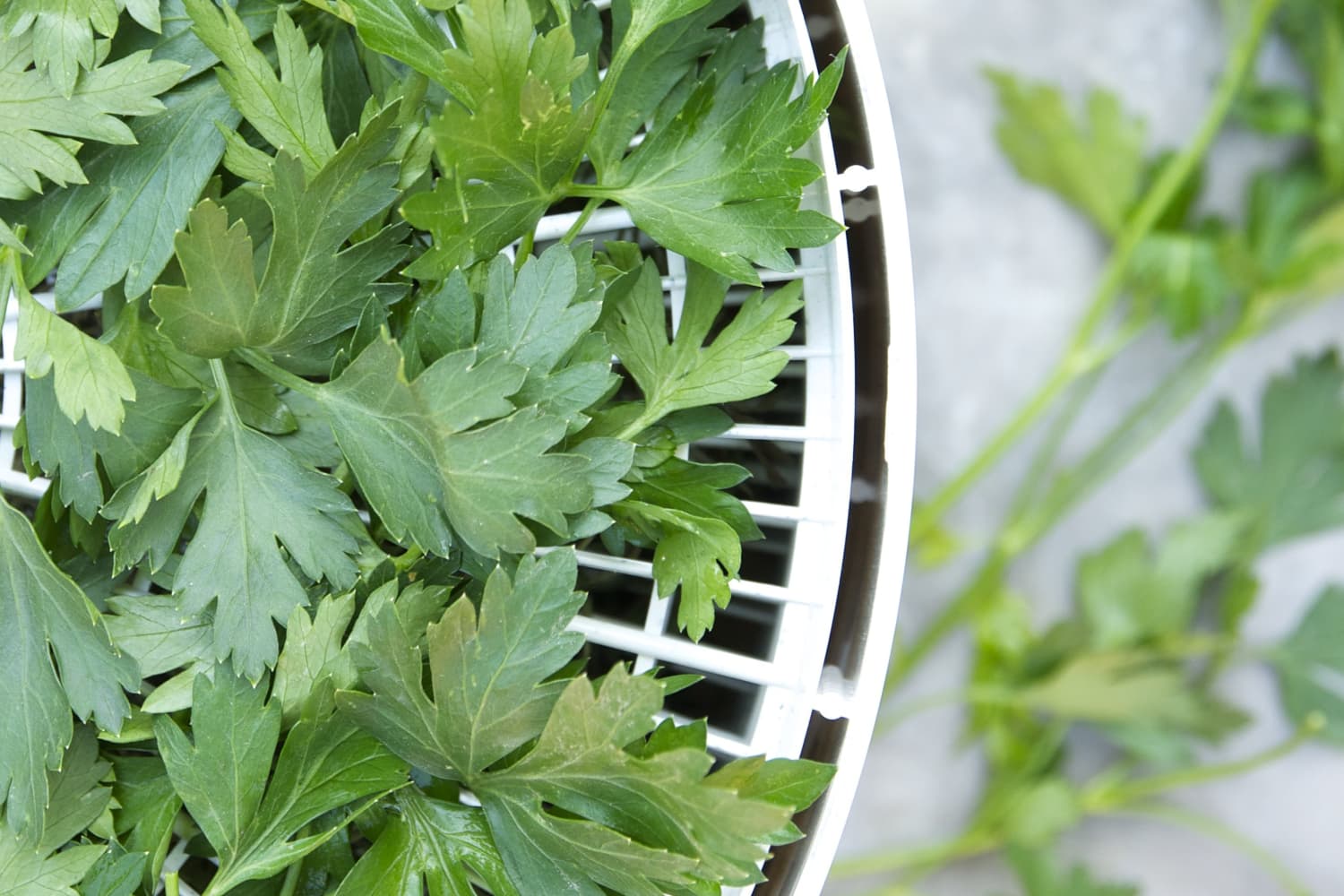 The Easiest Way to Revive Wilted Herbs The Kitchn