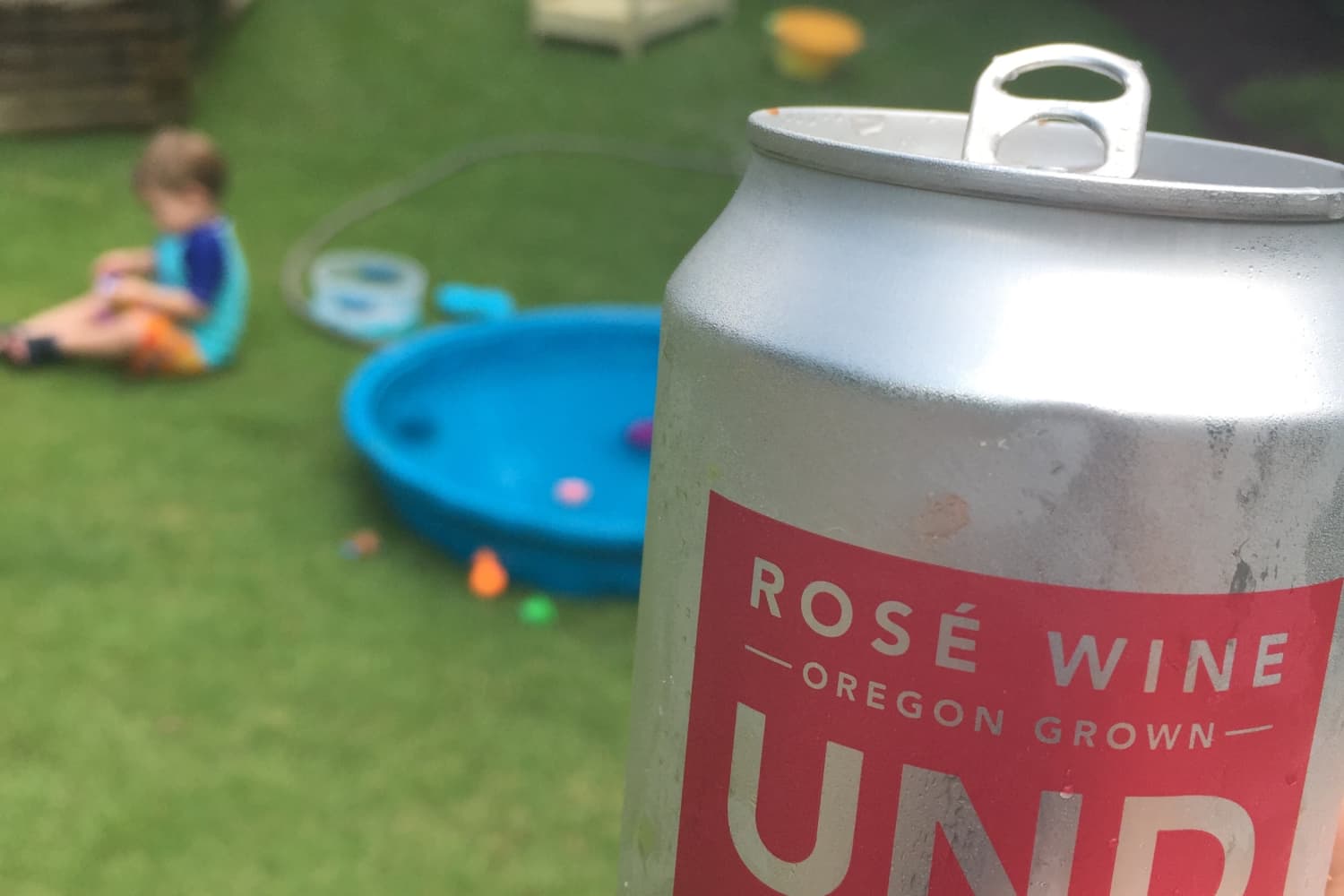 What We’re Drinking Right Now 10 Rosé Wines Under 20 The Kitchn