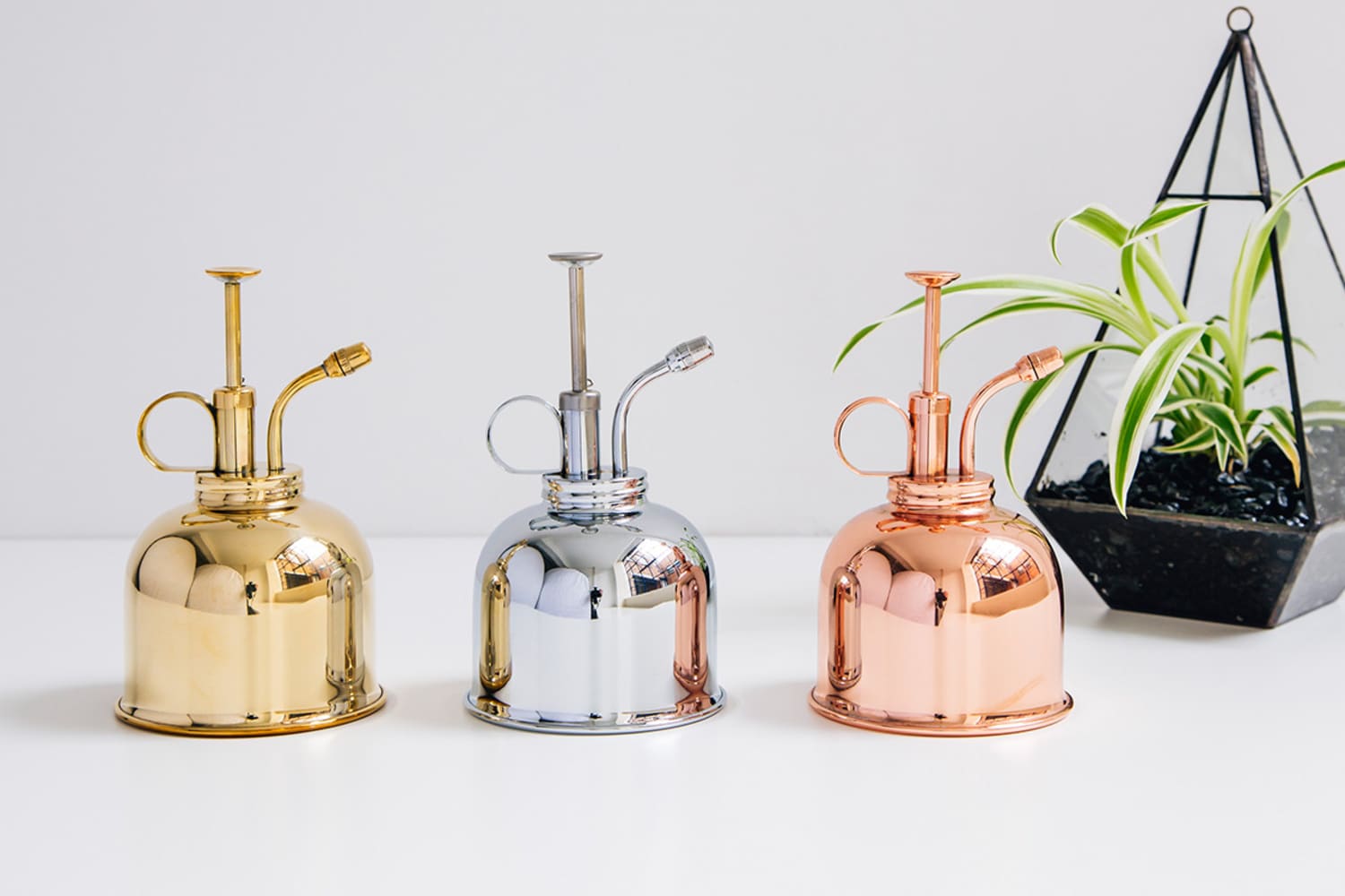 5 Pretty Plant Misters for Your Kitchen Herb Garden The Kitchn