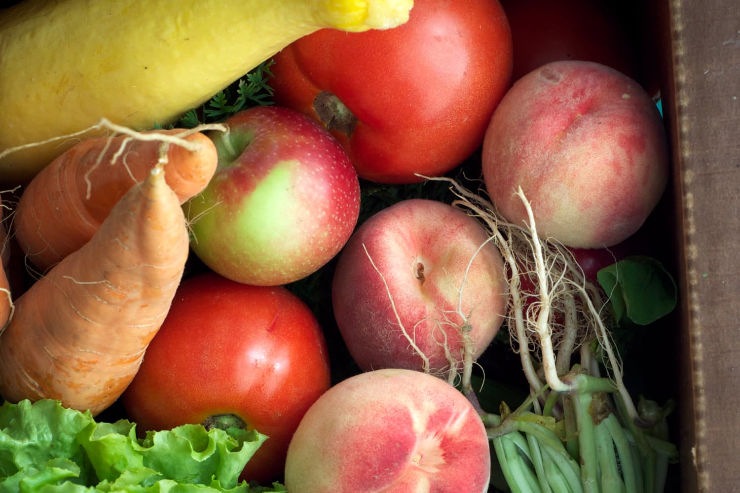 Want to Extend the Shelf Life of Fruits and Vegetables? This New