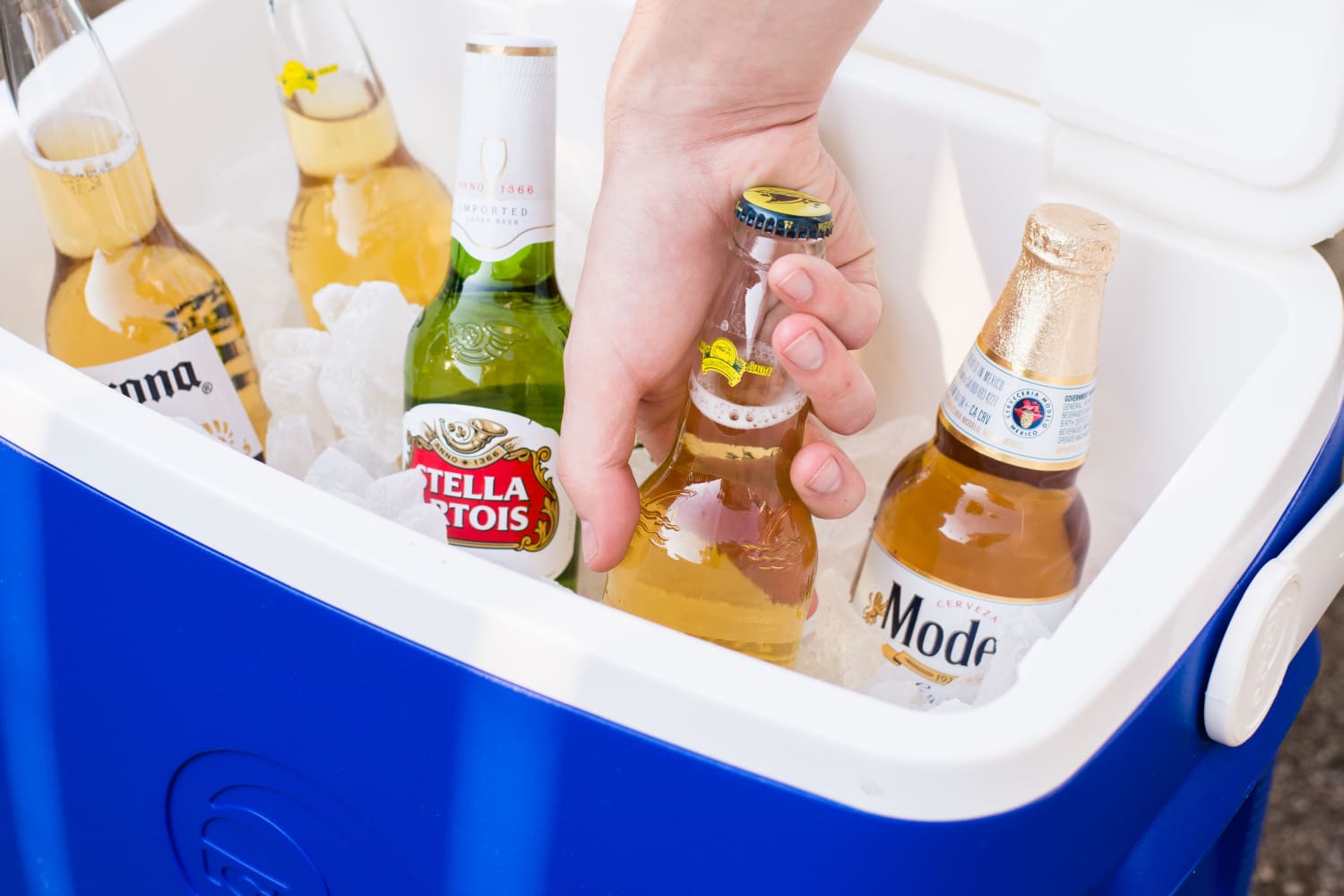 How To Clean a Dirty Cooler The Kitchn