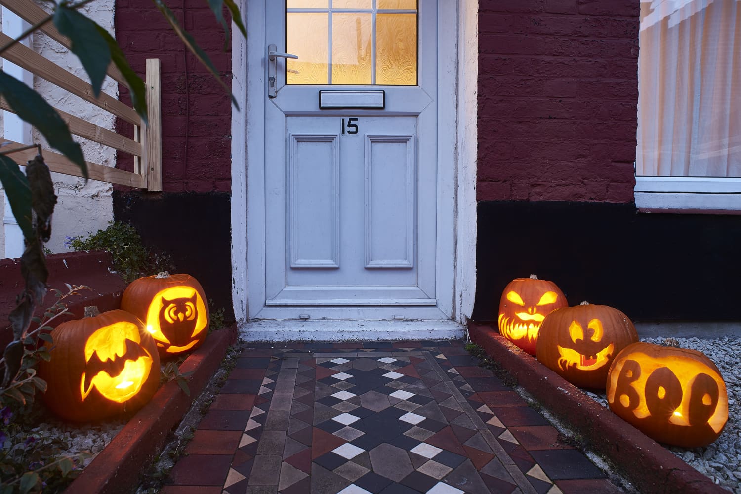 Keep Squirrels From Eating Pumpkins The Kitchn stop-squirrels-from-chewing-your-roof-vent-pipes-diy-tooltips