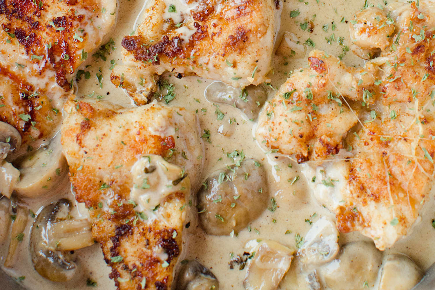 Creamy Asiago Chicken Recipe My Incredible Recipes The Kitchn