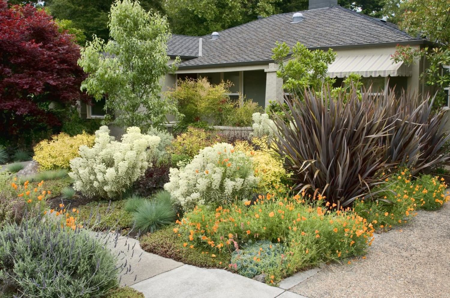 How Much Did It Cost to Landscape Your Yard? | Apartment ...