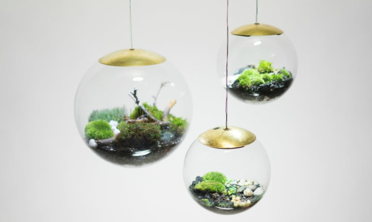 These New Terrarium Globes Are Also Pendant Lights
