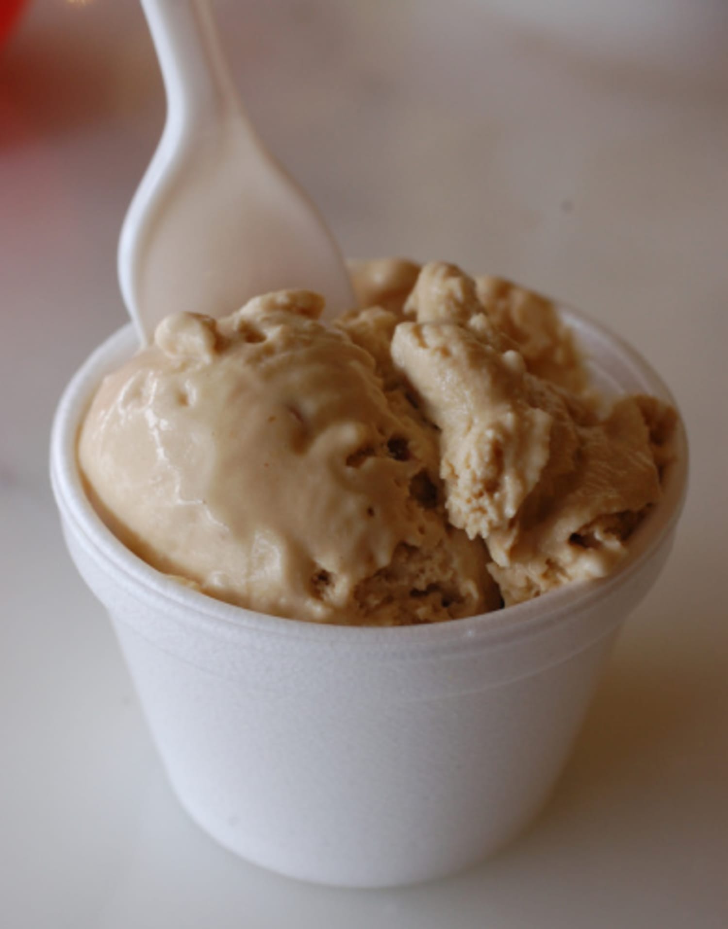 Sugarfree Custard Based Ice Cream