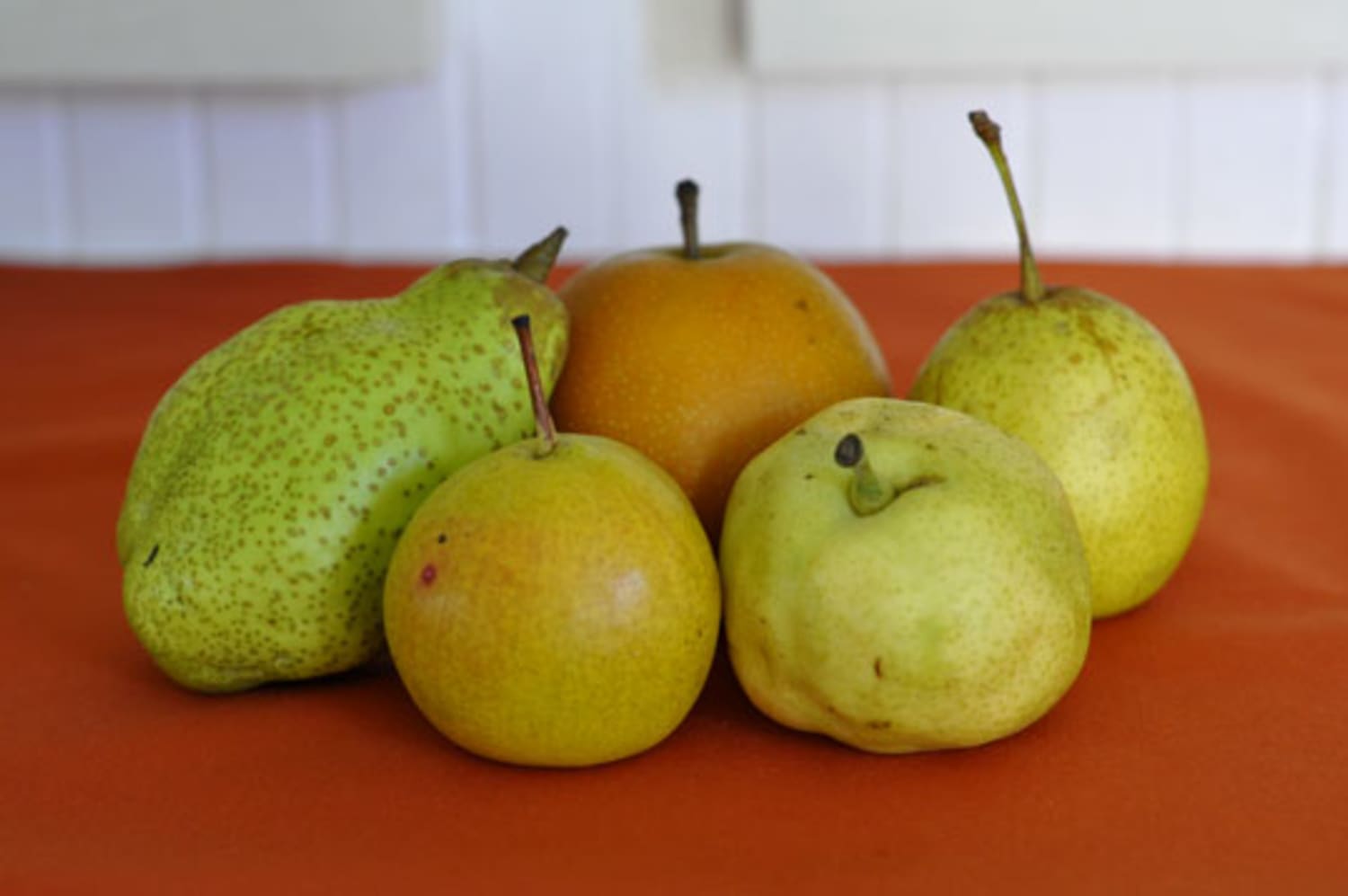 Seasonal Spotlight Asian Pears  Kitchn-8712