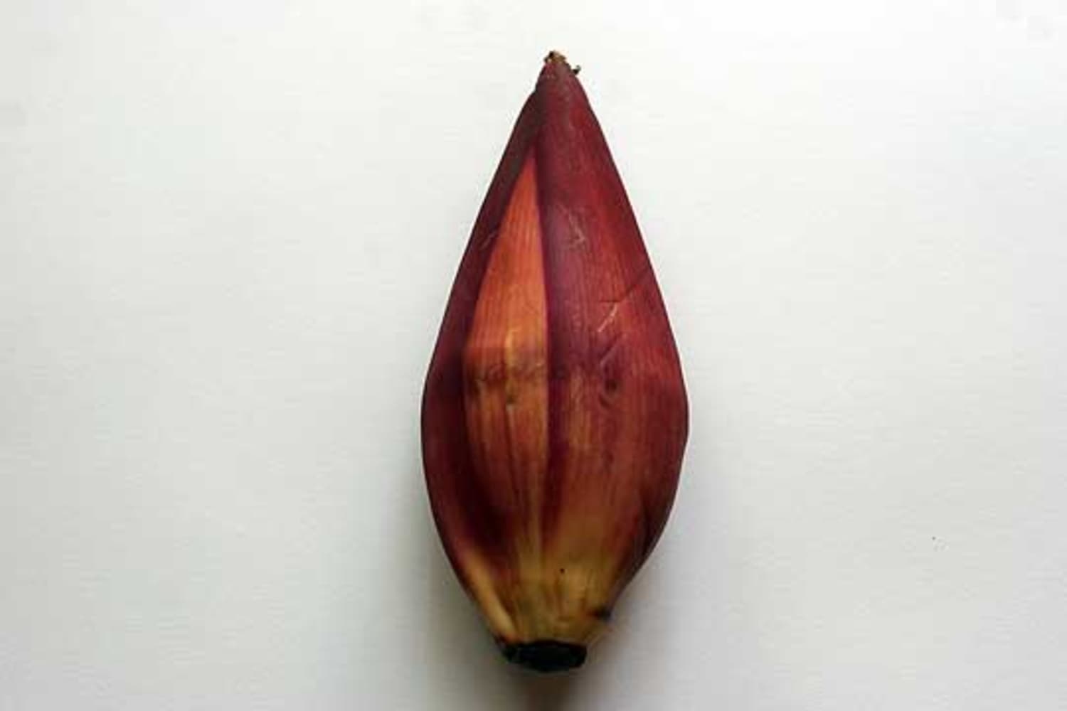 Ingredient Spotlight Banana Blossom Kitchn