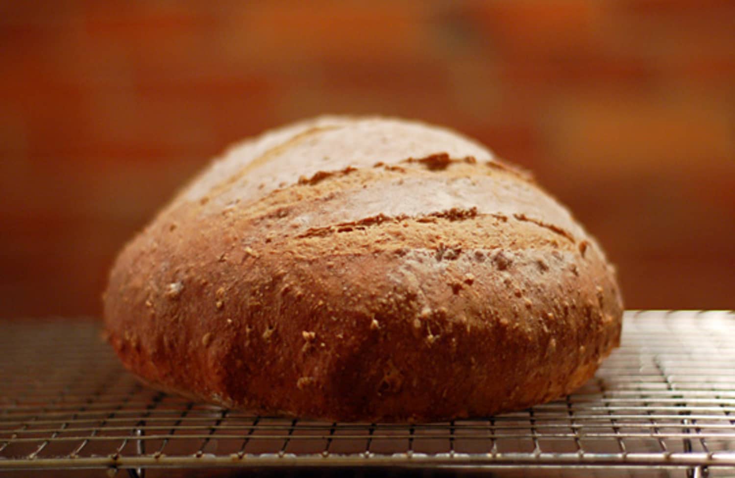 Recipe: No-Knead Multigrain Bread | Kitchn