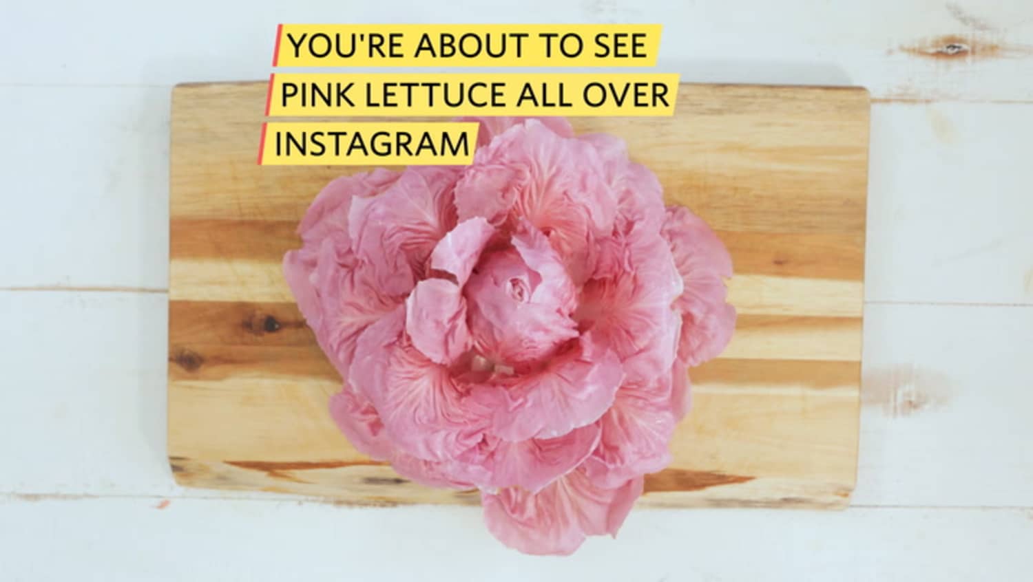 This Is Pink Lettuce Kitchn
