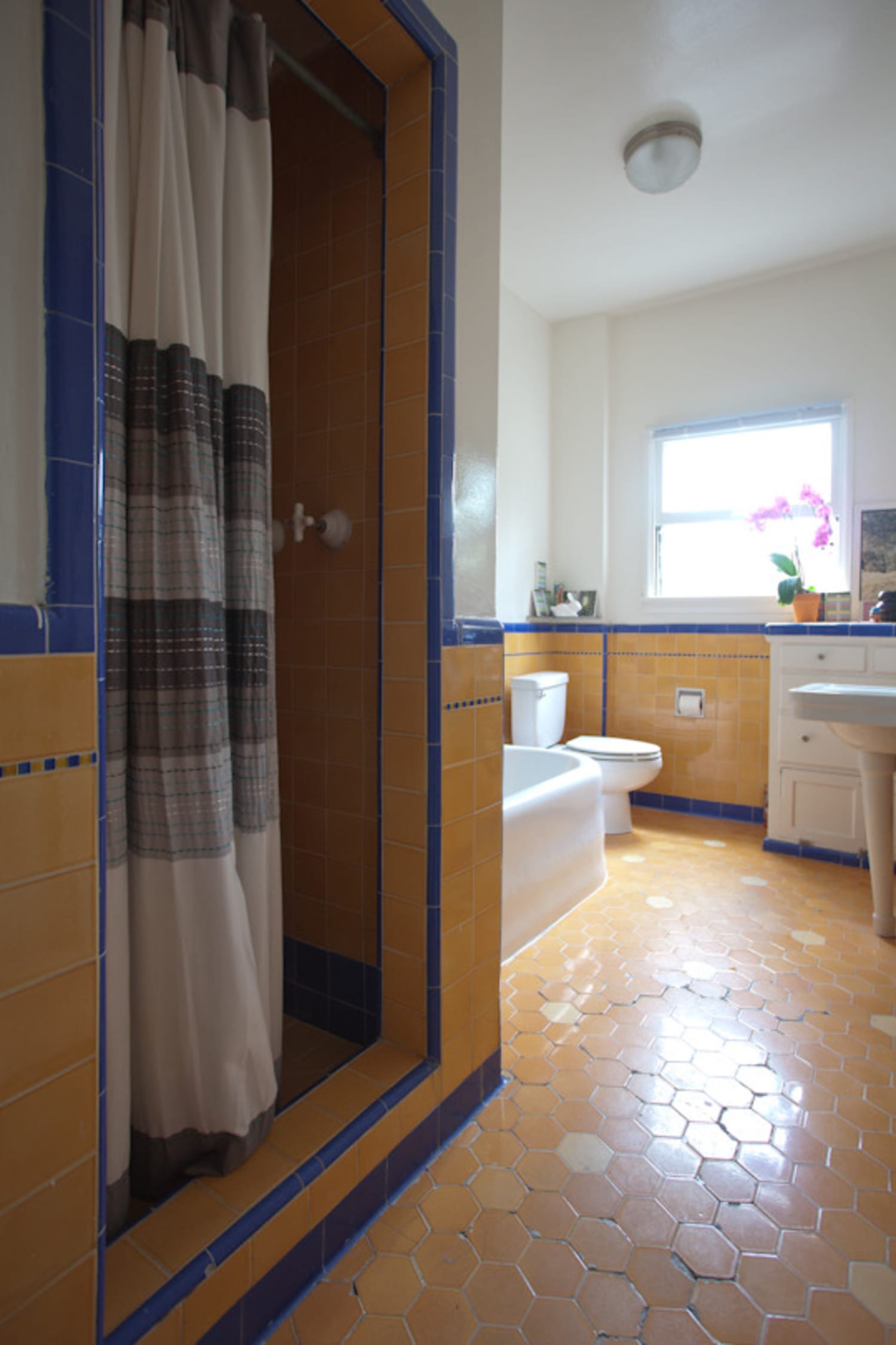 Weird Things People Do in the Shower Apartment Therapy