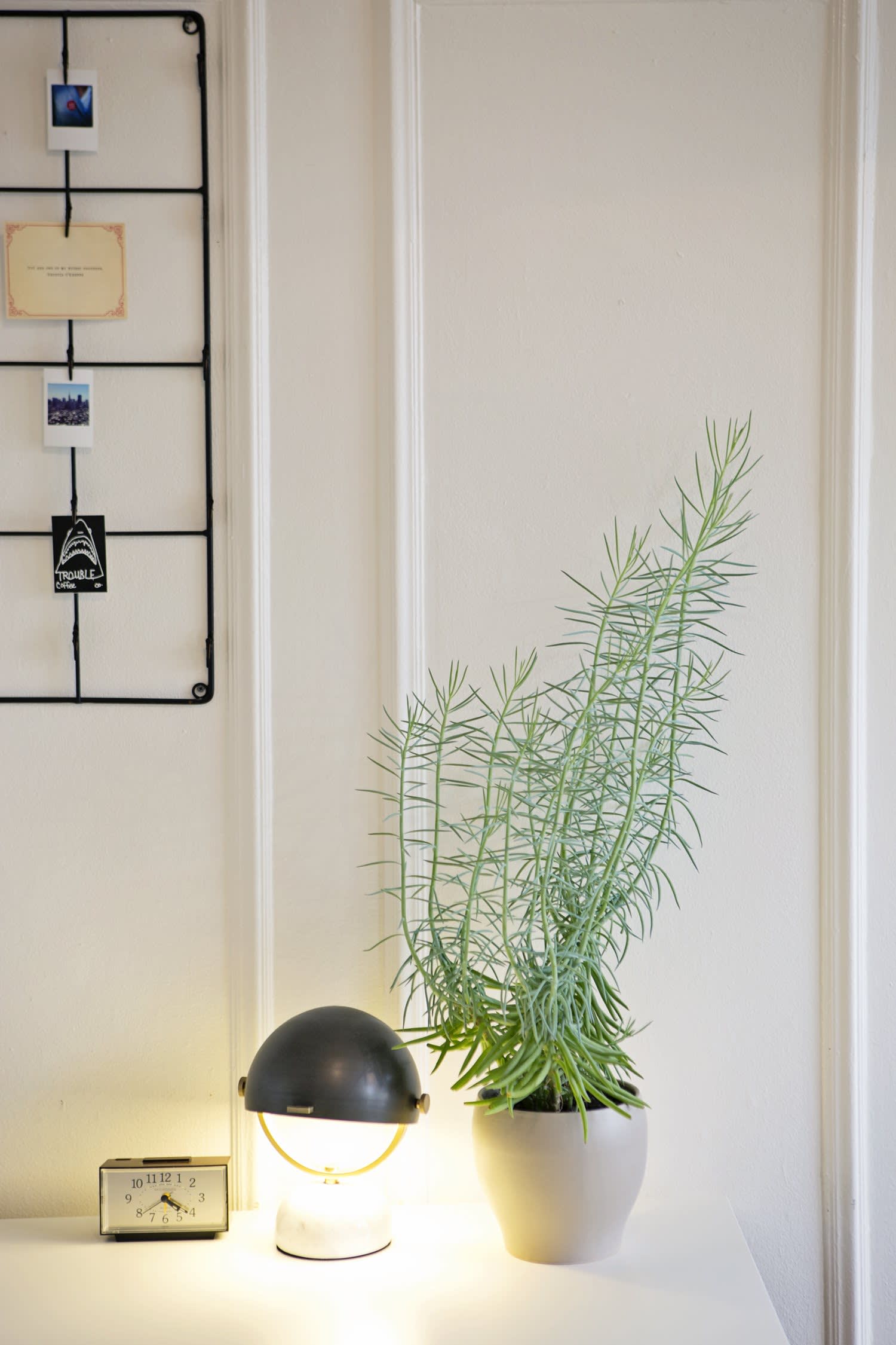 Indoor Plant Decorating Ideas Apartment Therapy