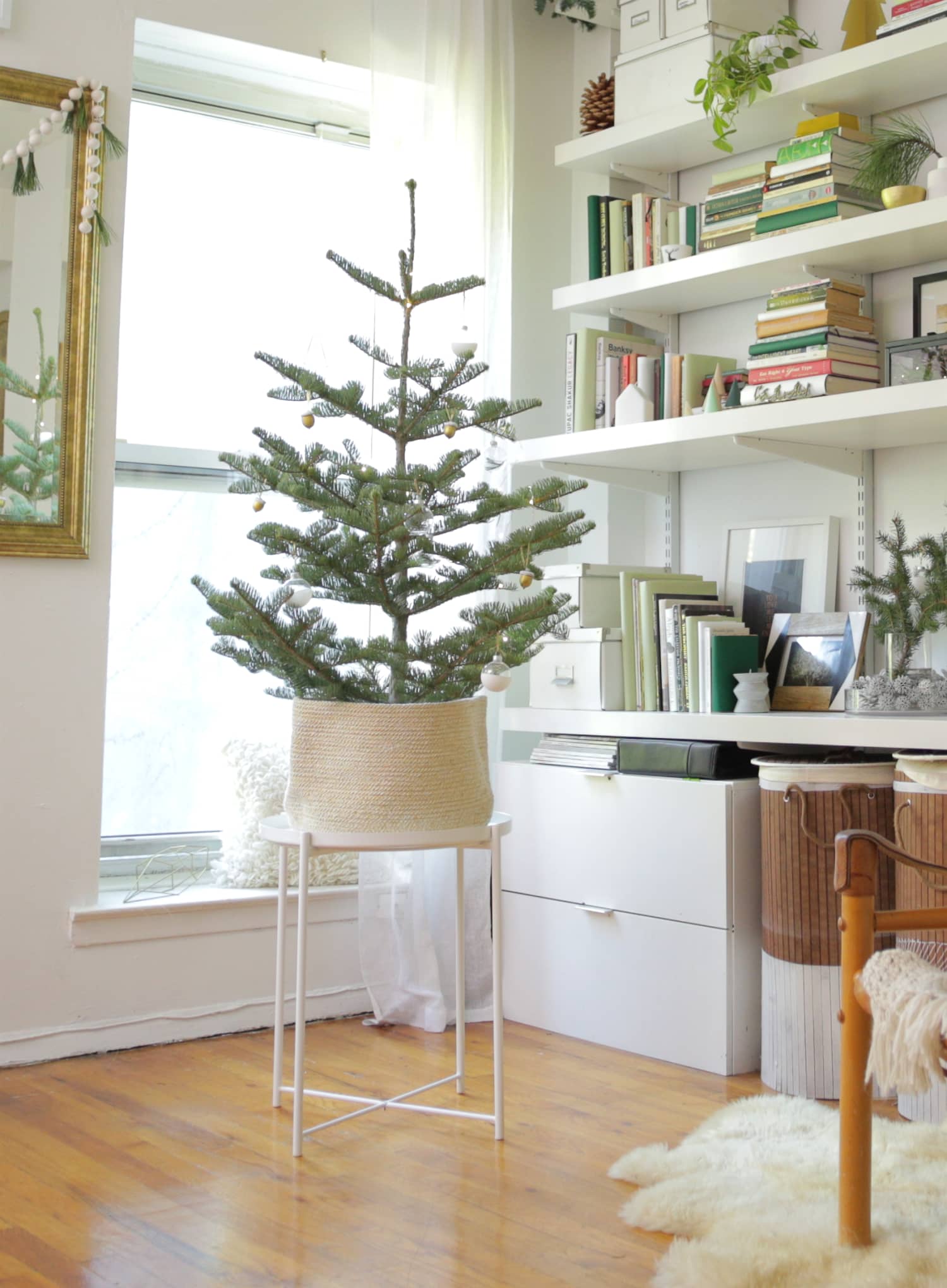 Small Apartment Tree Ideas