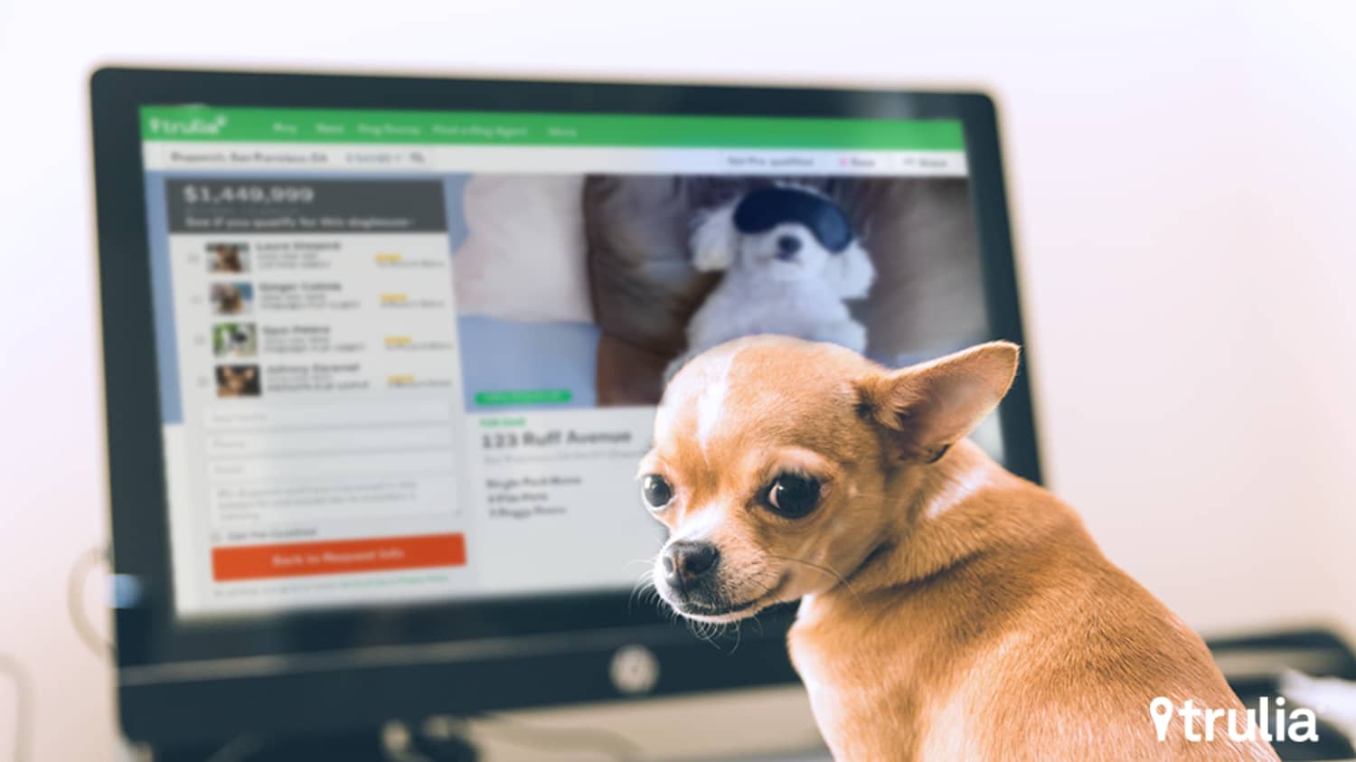 Trulia's New Property Listings for Pets: The Top 10 Places ...