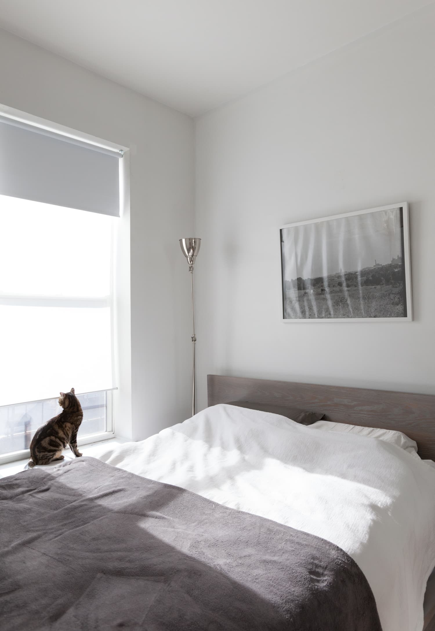Experimenting with Paint Color in Small Bedrooms | Apartment Therapy