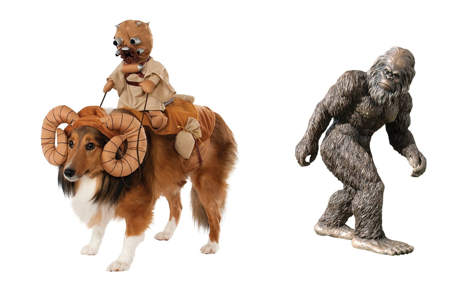 10 of the Weirdest Things For Sale on Amazon Apartment Therapy