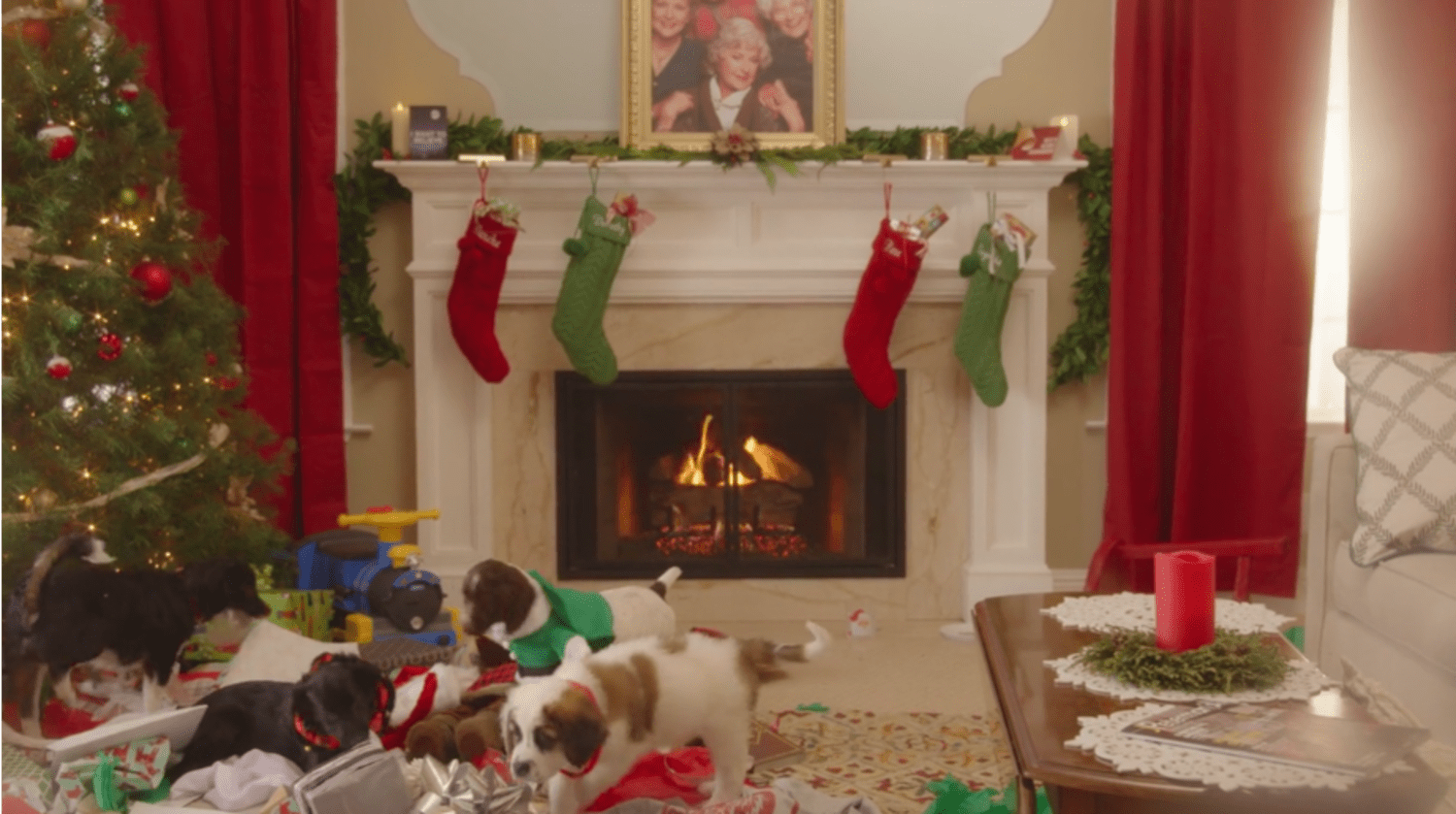 Hulu Puppies Crash Christmas Yule Log 2017 Apartment Therapy