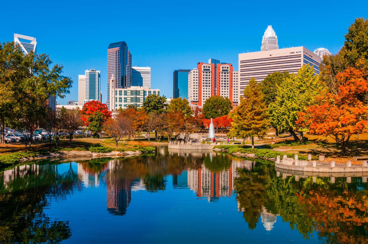 Moving To Charlotte North Carolina What It s Like Apartment Therapy