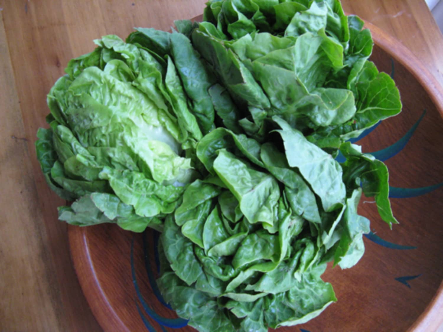 Good Eats Little Gems Lettuce Kitchn