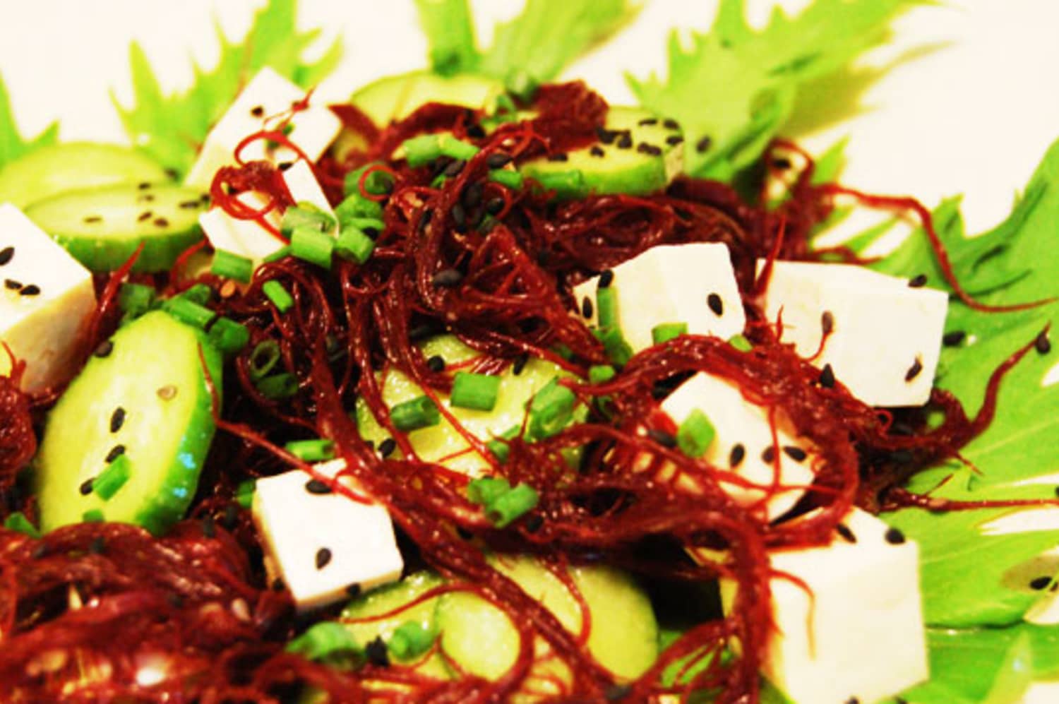 Recipe Red Ogo Seaweed Salad Kitchn