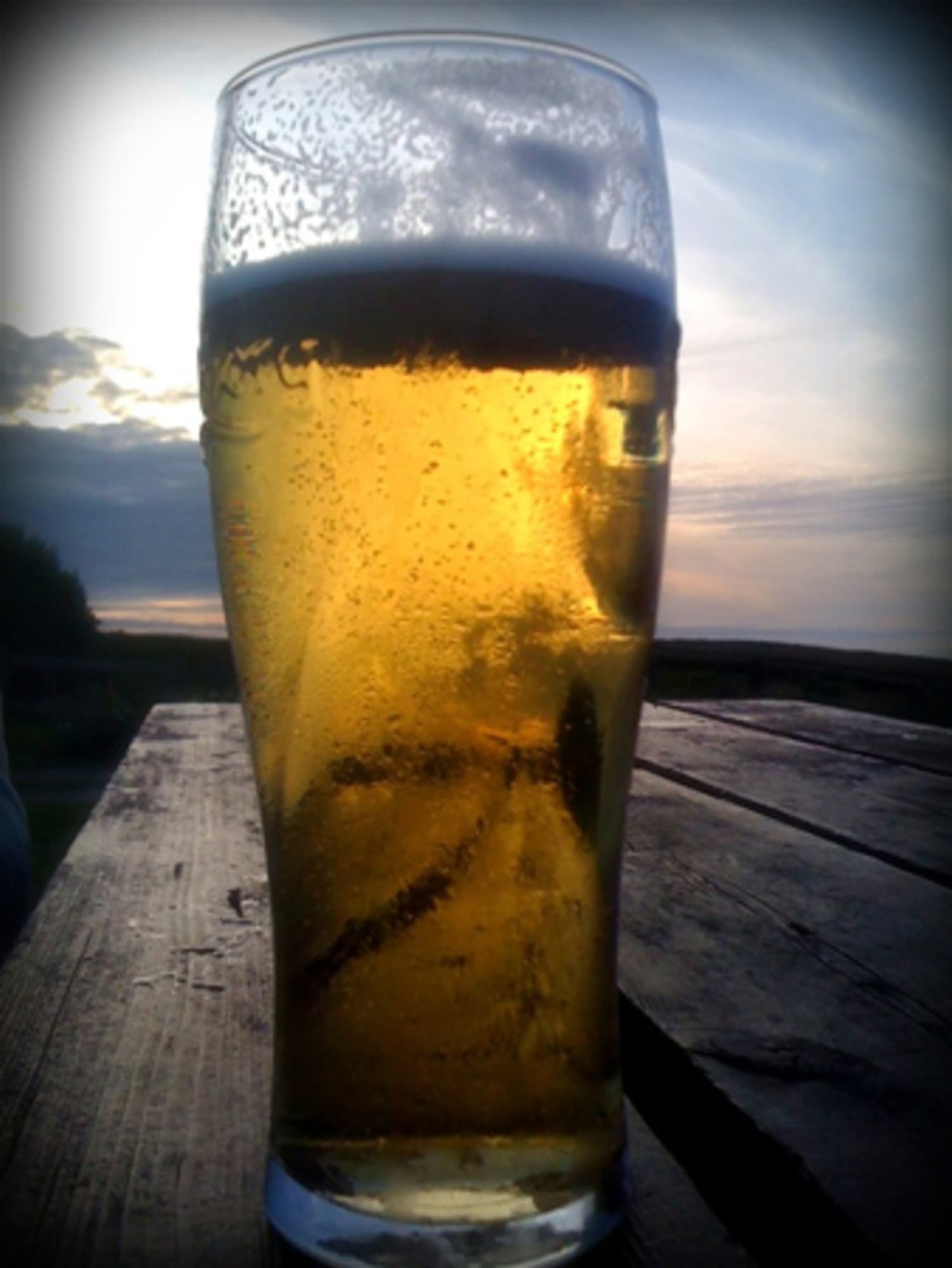 Quick and Dirty Guide to Lager Beers Beer Sessions Kitchn