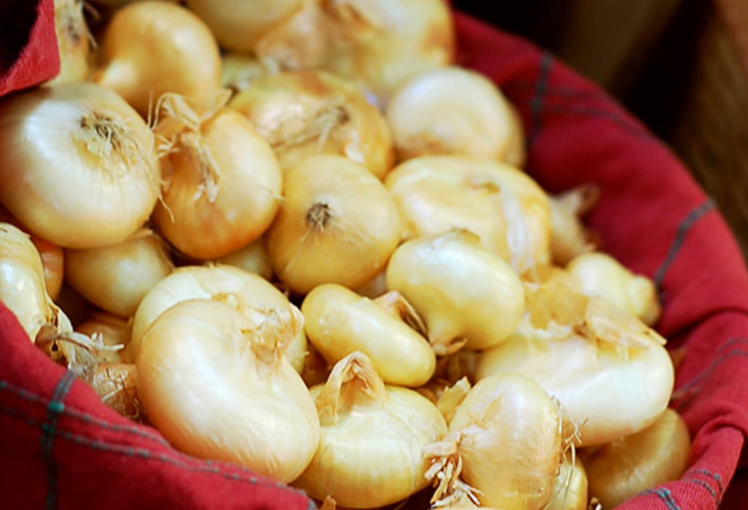 Sweet and Mild What’s the Deal with Cipollini Onions? Kitchn