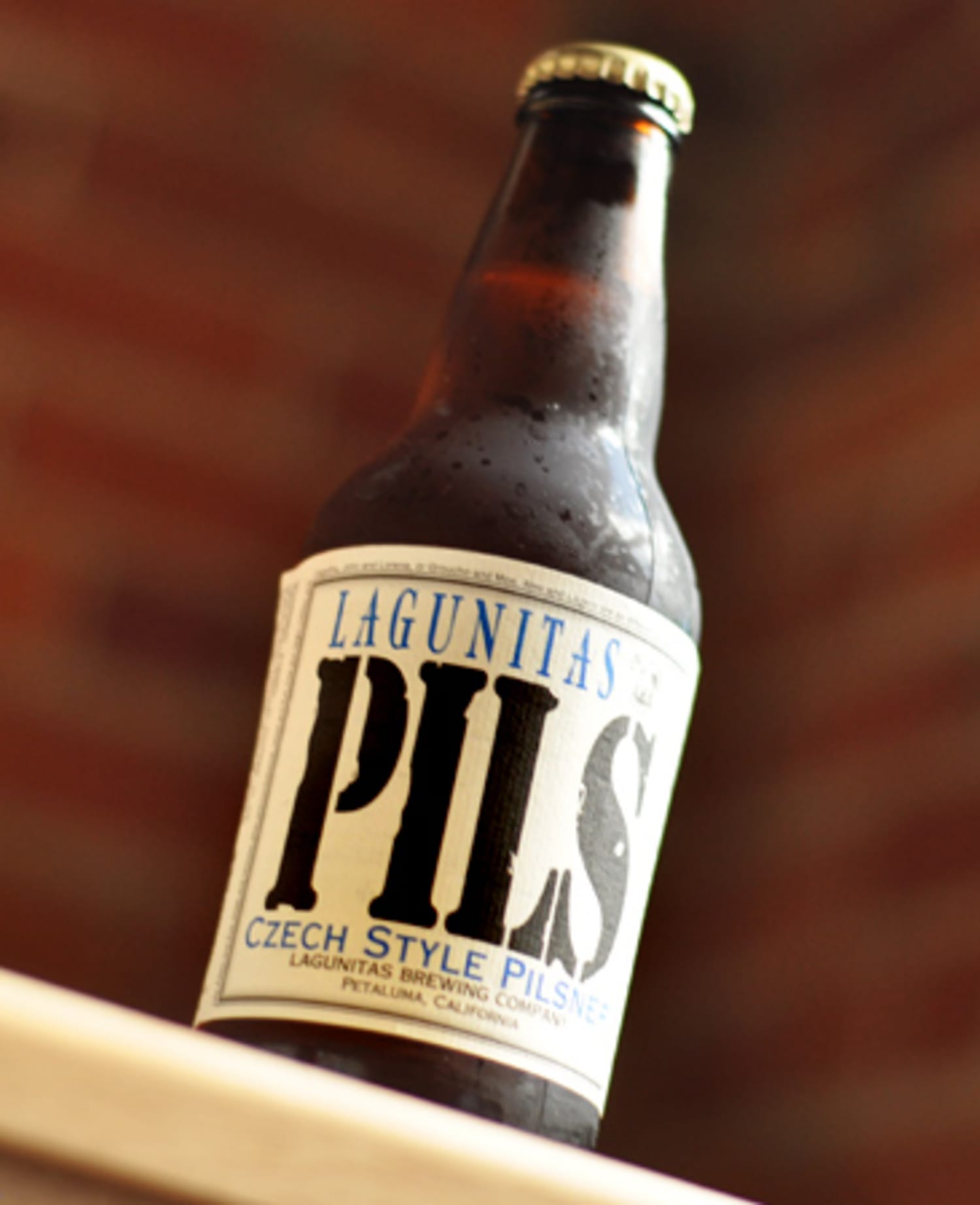 Beer Review: Lagunita’s PILS Beer Sessions | Kitchn