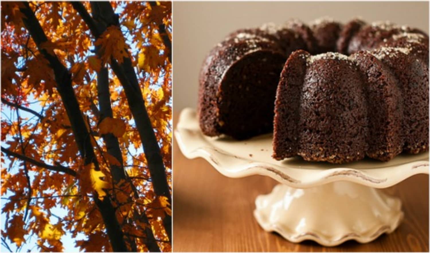 Seasonal Baking 5 Fall Bundt Cake Recipes Kitchn