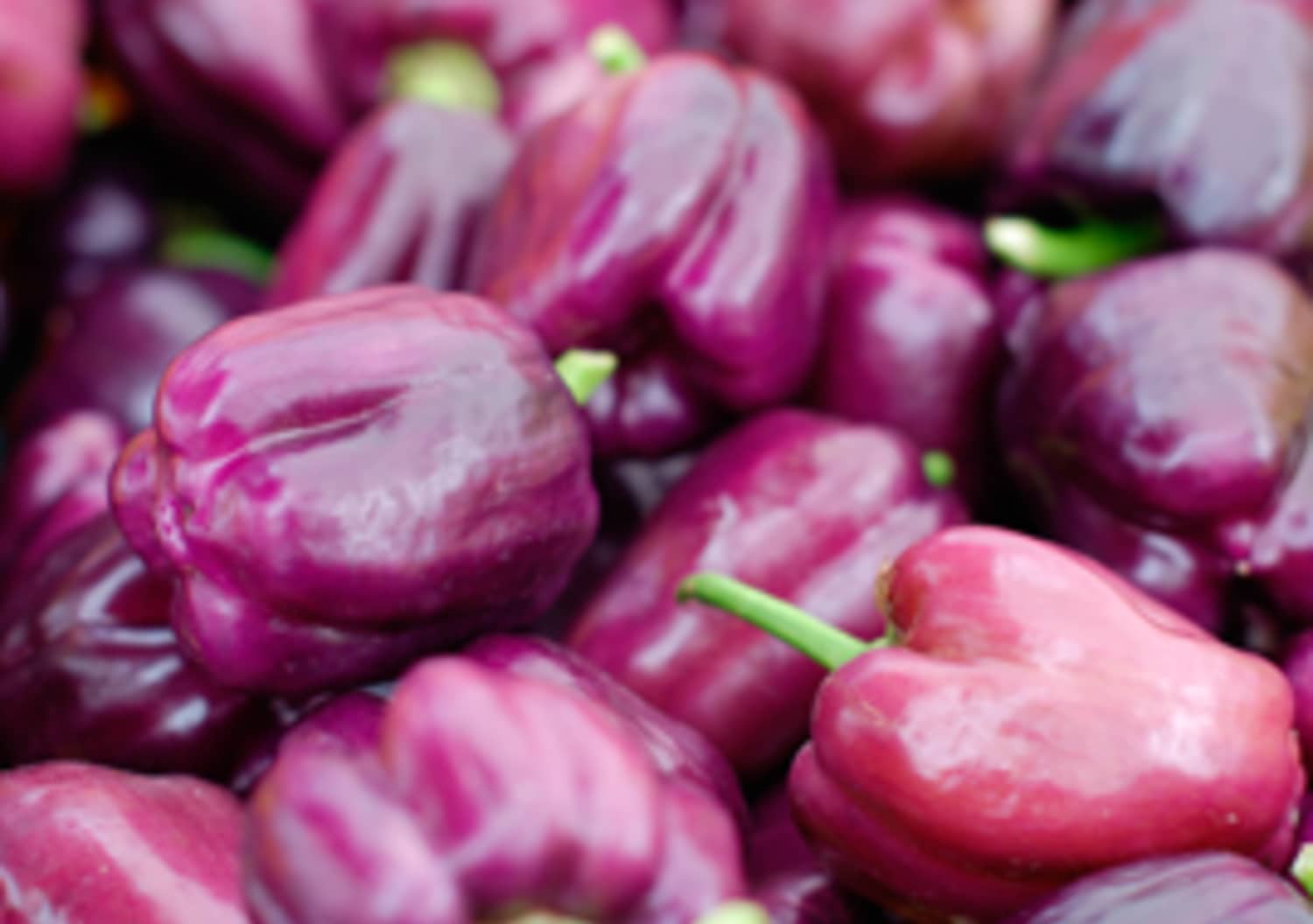 What Can I Do With Bitter Peppers? Kitchn