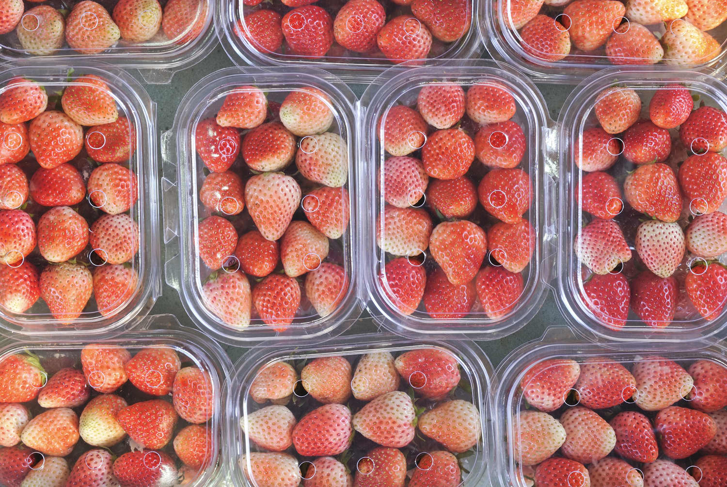 My Zero Waste Week Why I Tried To Completely Eliminate Food Packaging