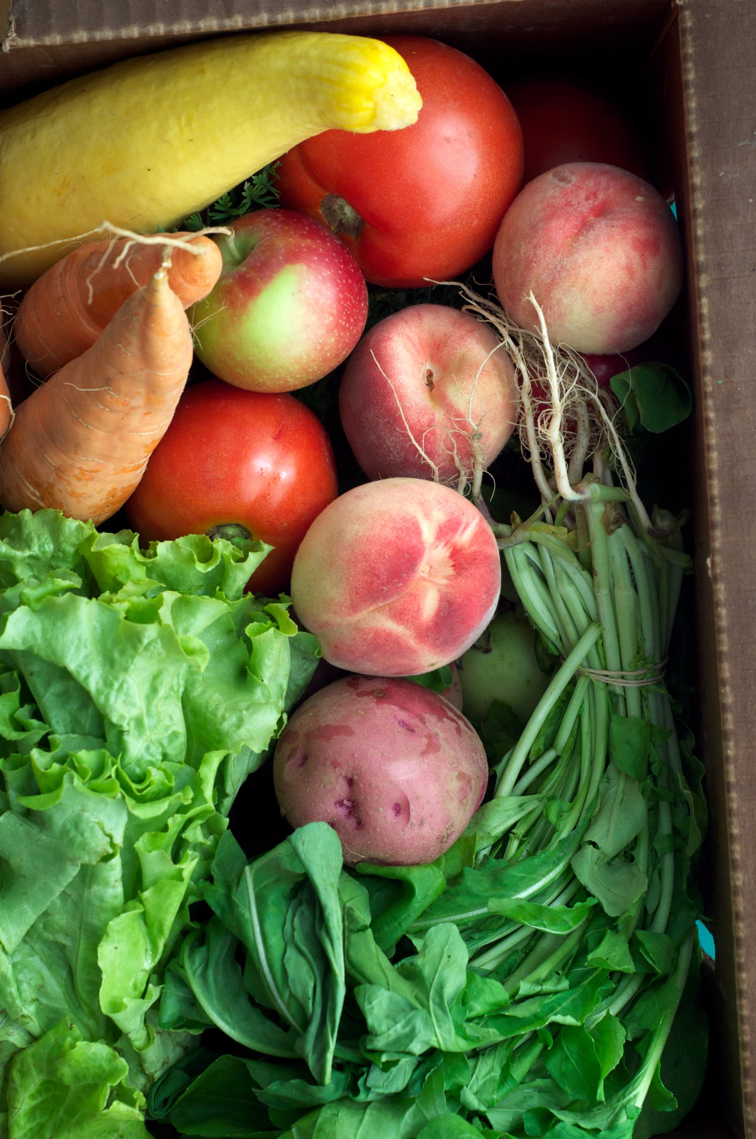 Want to Extend the Shelf Life of Fruits and Vegetables? This New