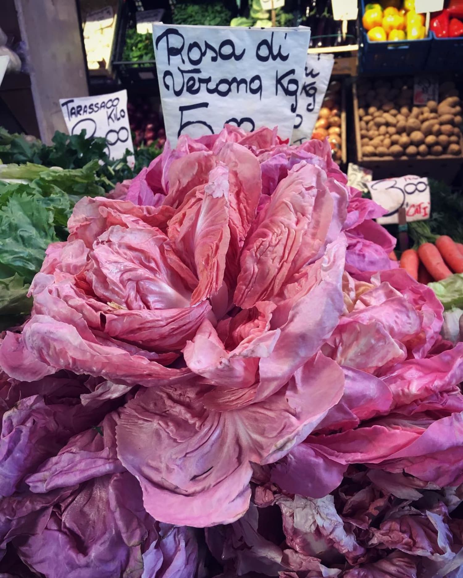 Pink Lettuce Is About to Take Over Your Instagram Feed Kitchn