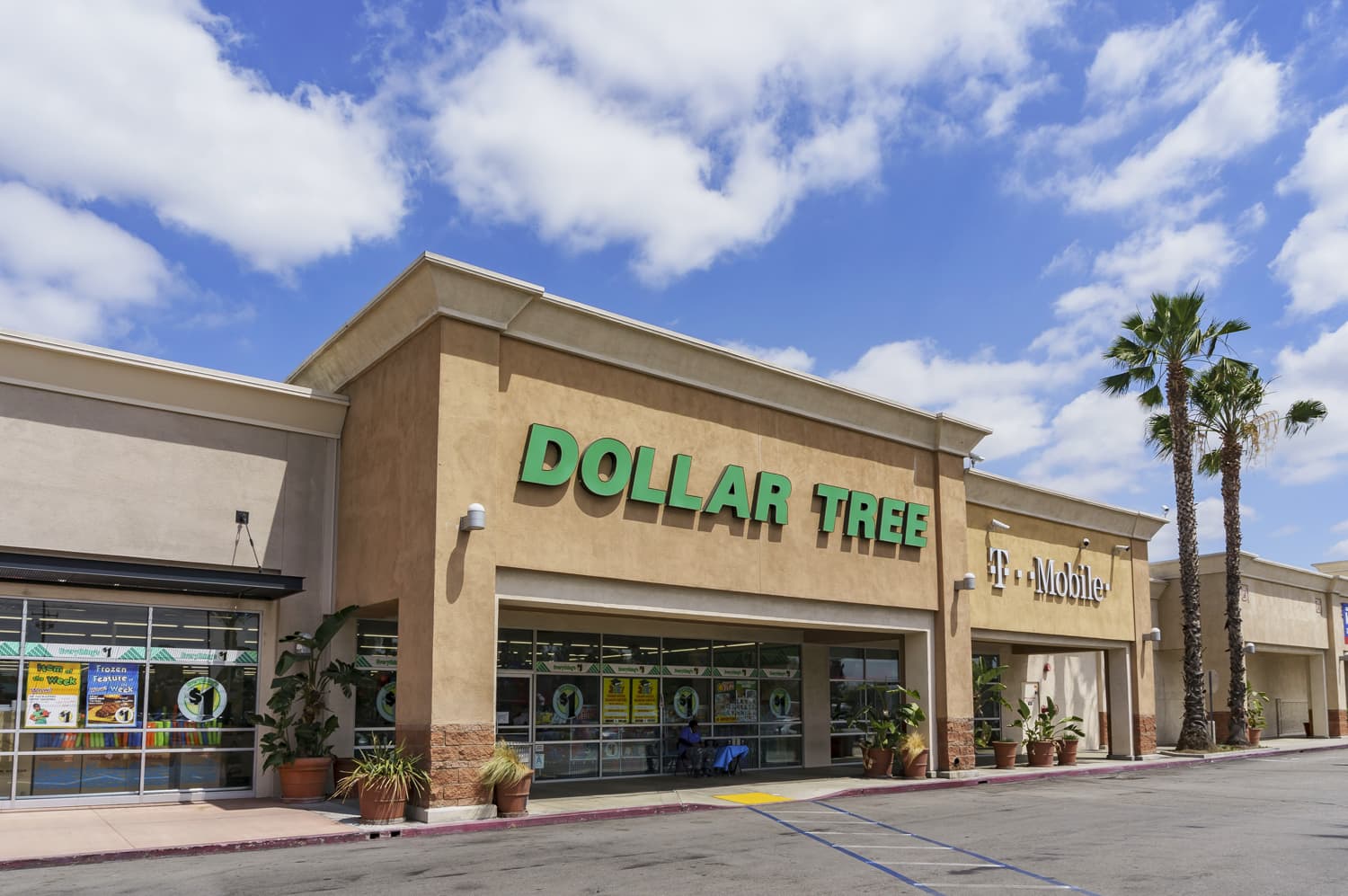 dollar-tree-bulk-online-shopping-kitchn