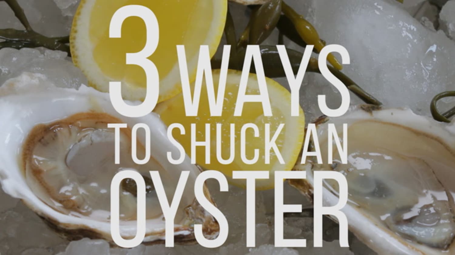 3 Ways To Shuck An Oyster Kitchn