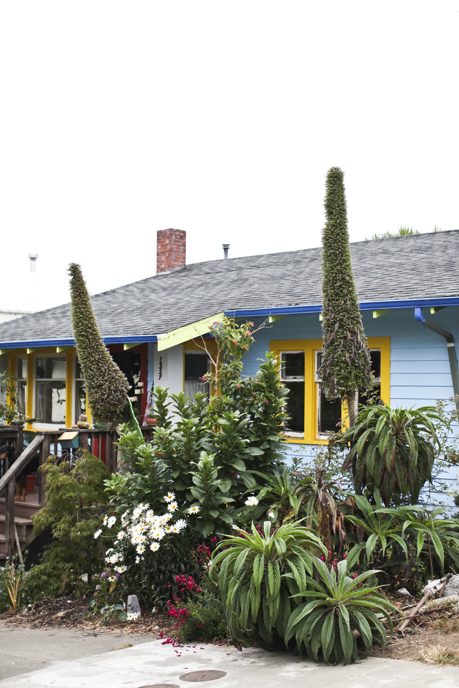 Prepper Groups Prepper Groups