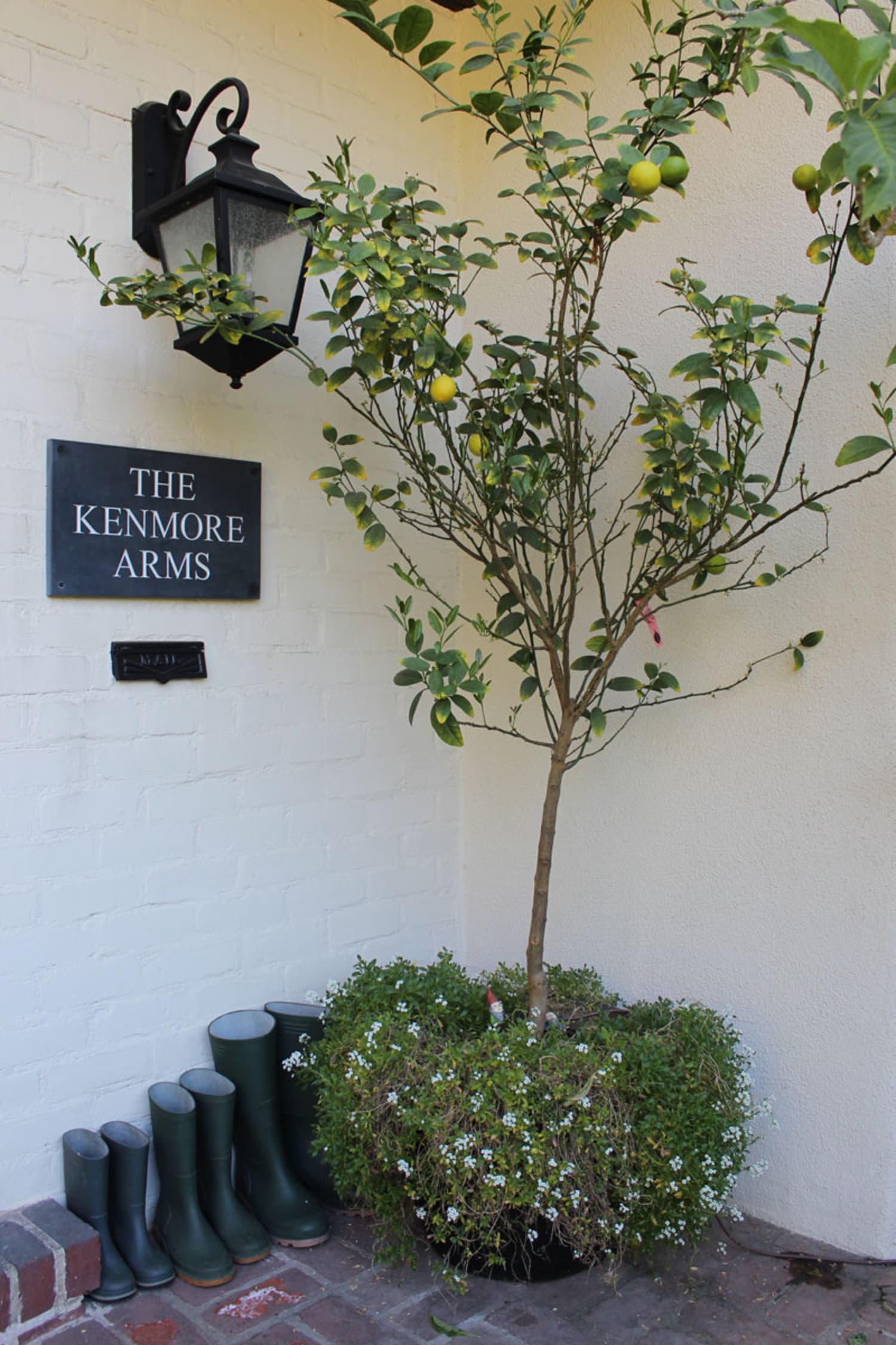 Ideas for Naming Your House Apartment Therapy