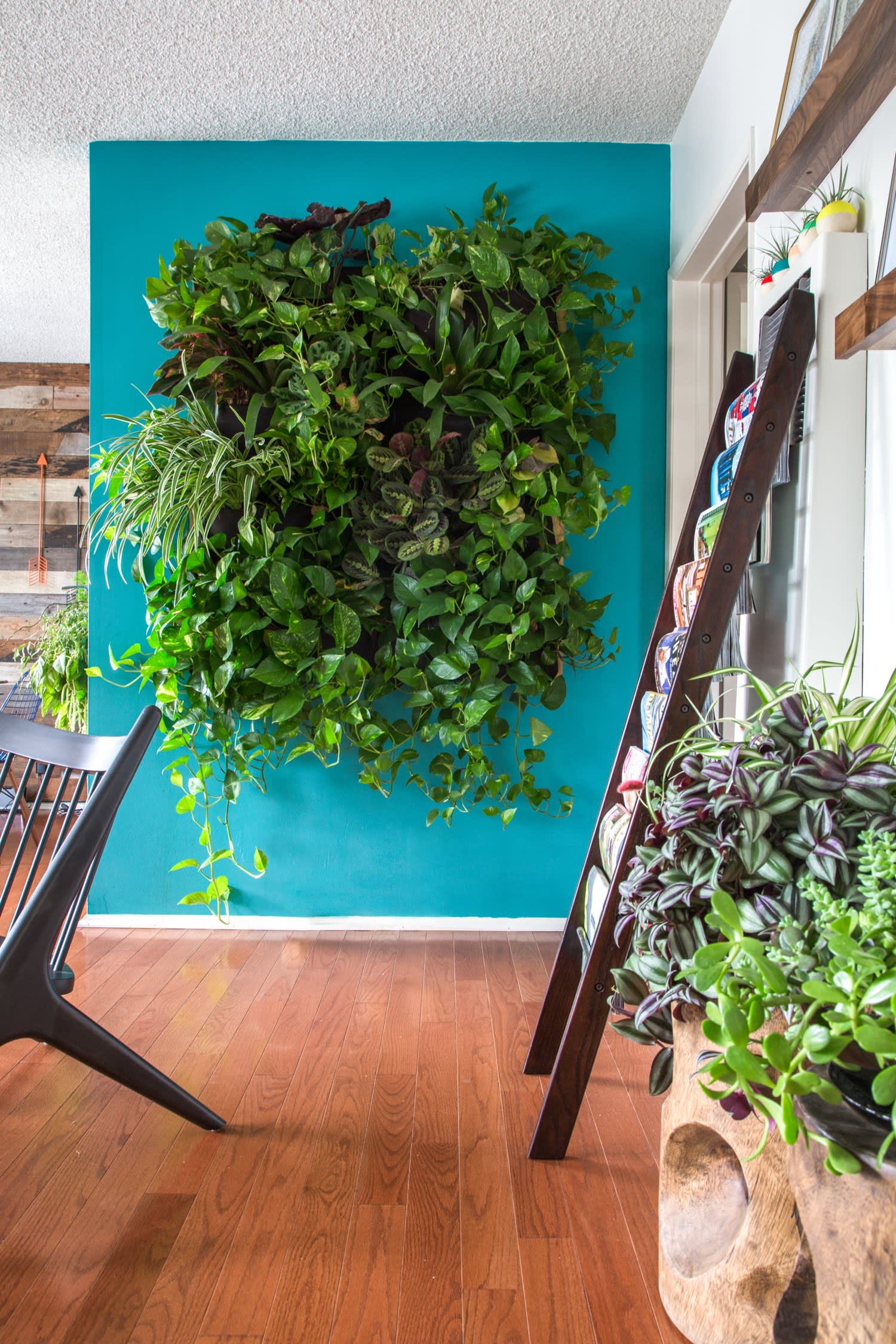 Indoors or Out Tips for Creating a Vertical Garden Apartment Therapy