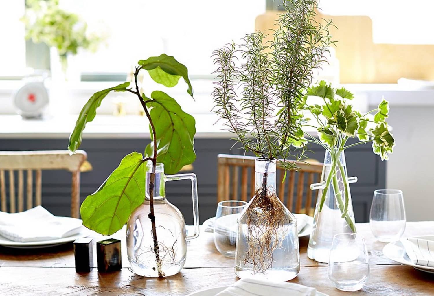 Hydroponic Gardening How to Grow Plants In Water